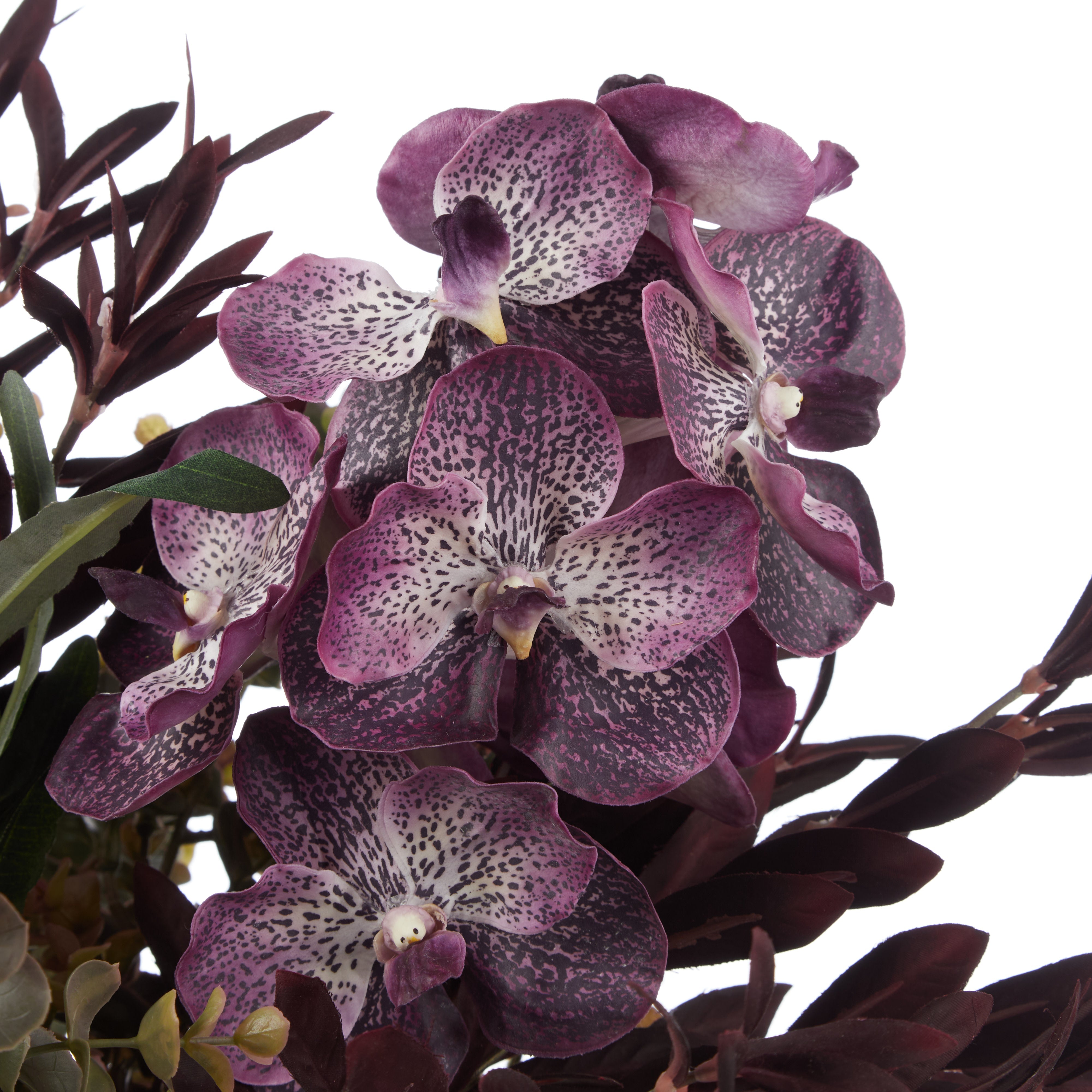Rogue Vanda Orchid Eucalyptus Mix - Claire Vase Burgundy
