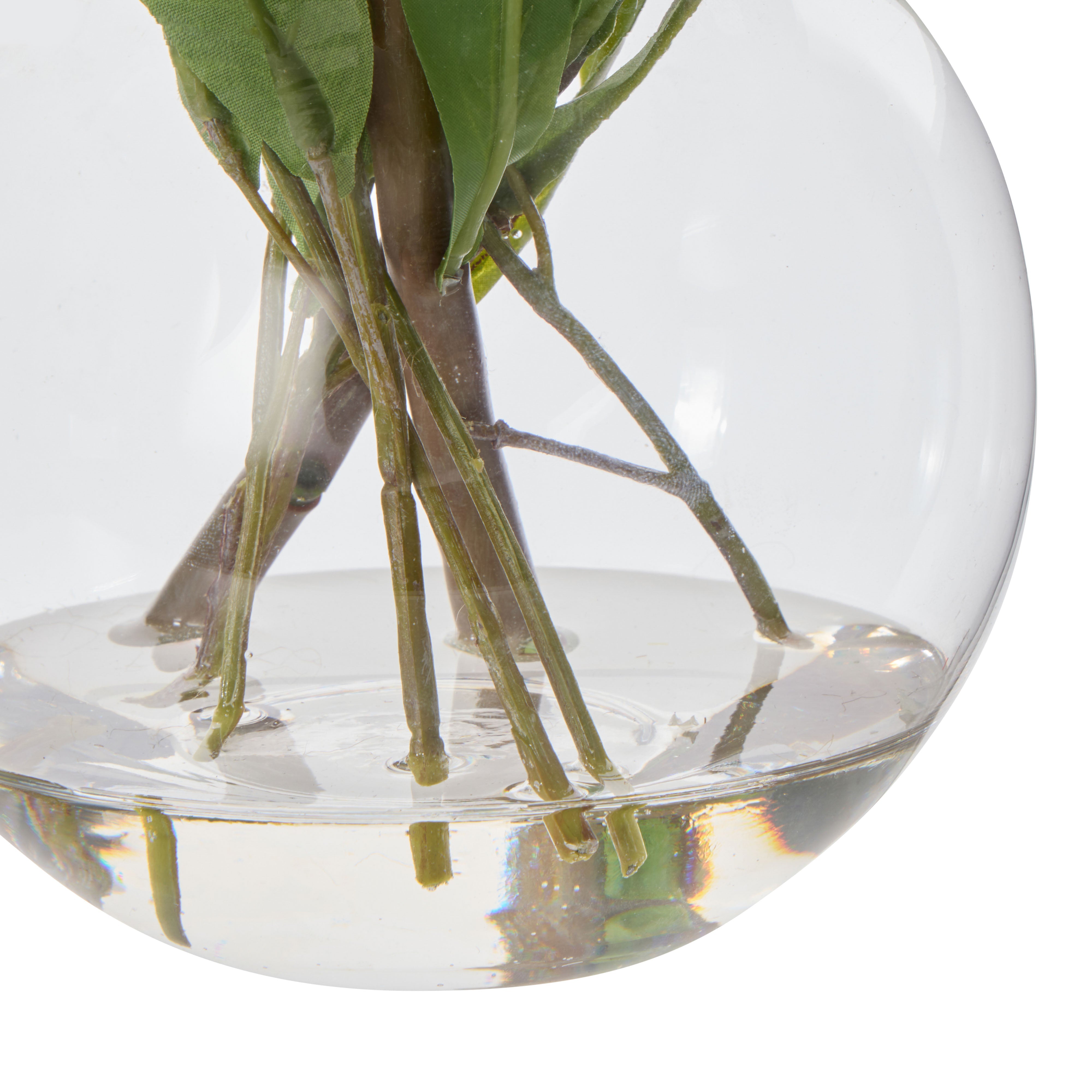 Rogue Pincushion Eucalyptus - Sphere Cream & Green