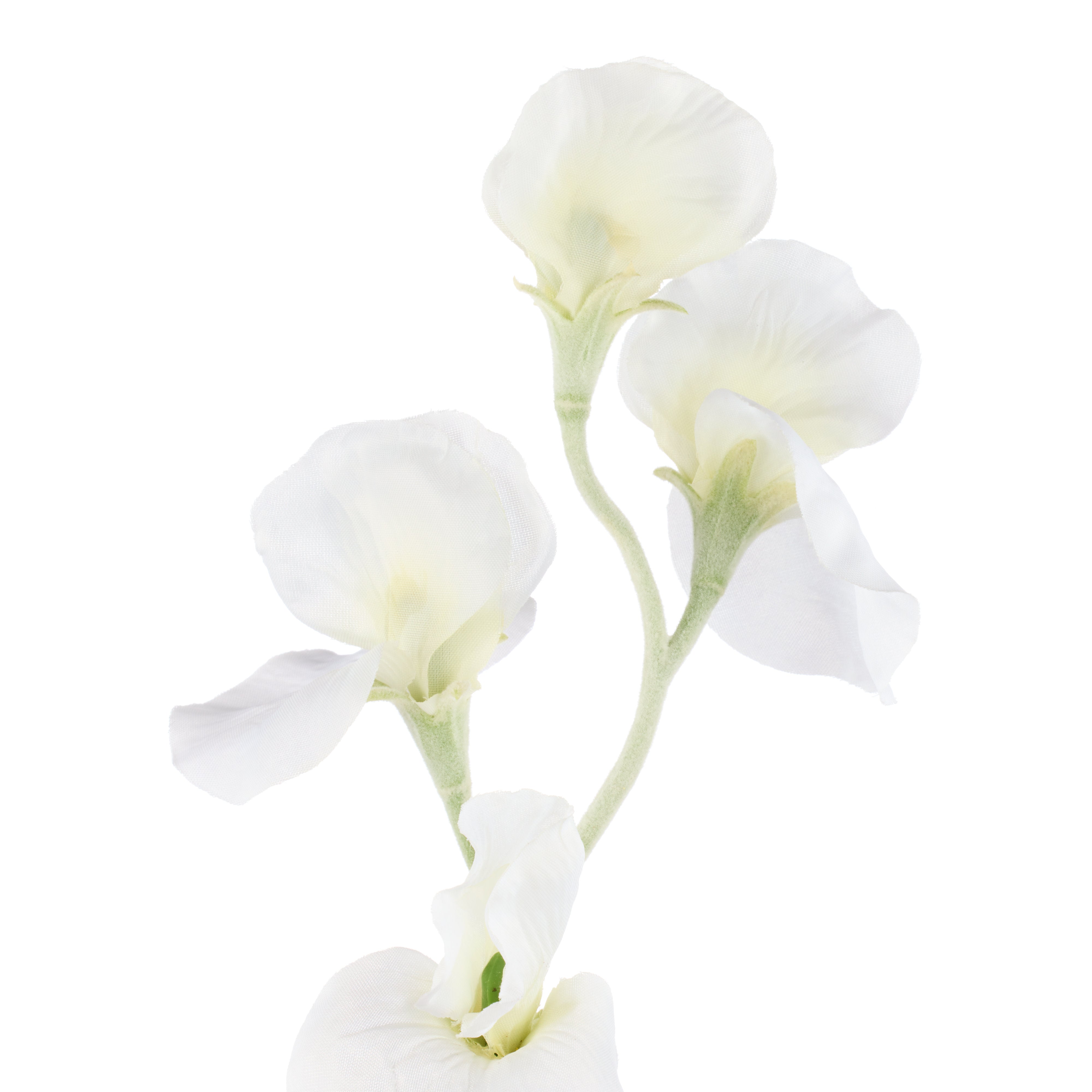 Rogue Sweet Pea Spray Cream