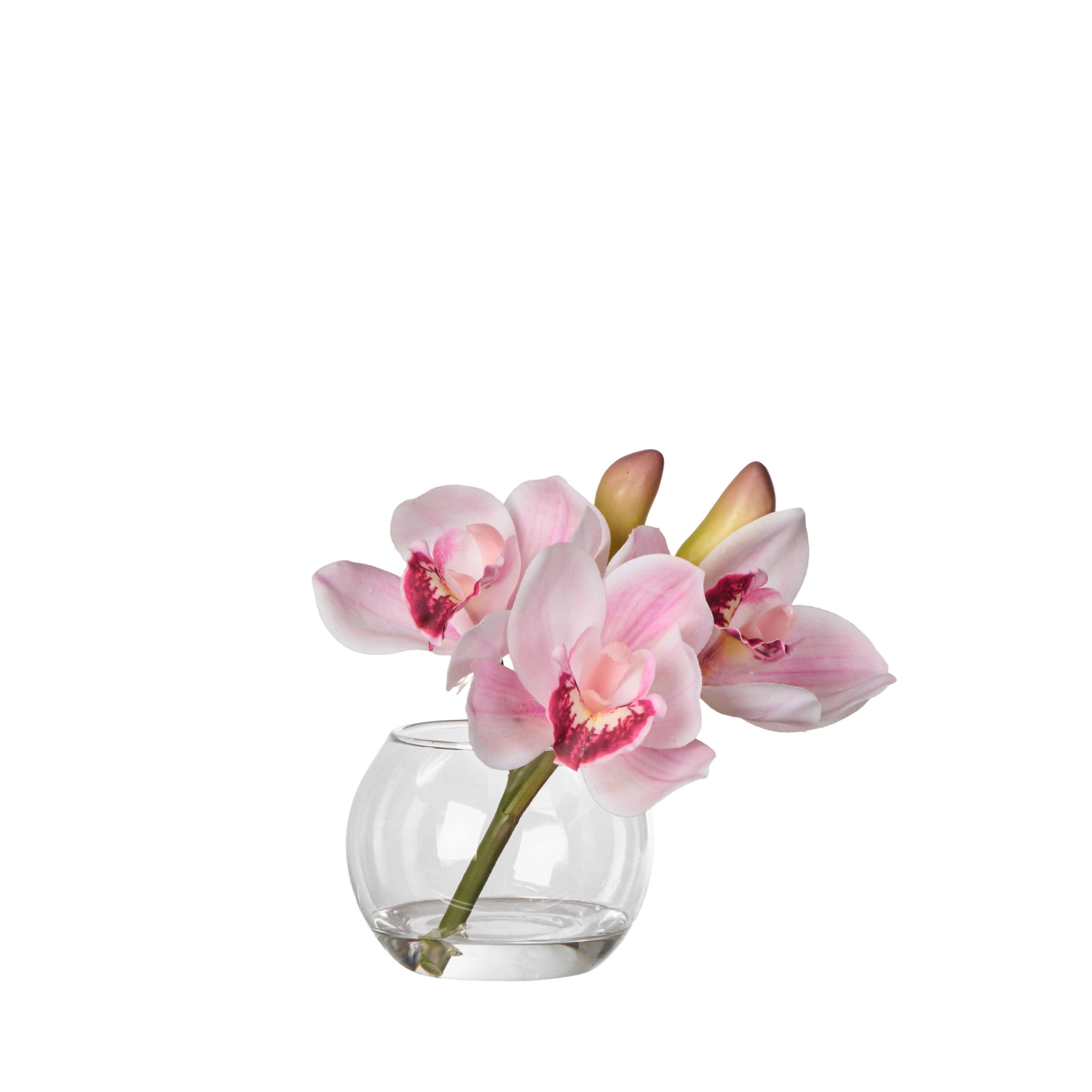 Rogue Cymbidium-Glass Vase Pink 16cm