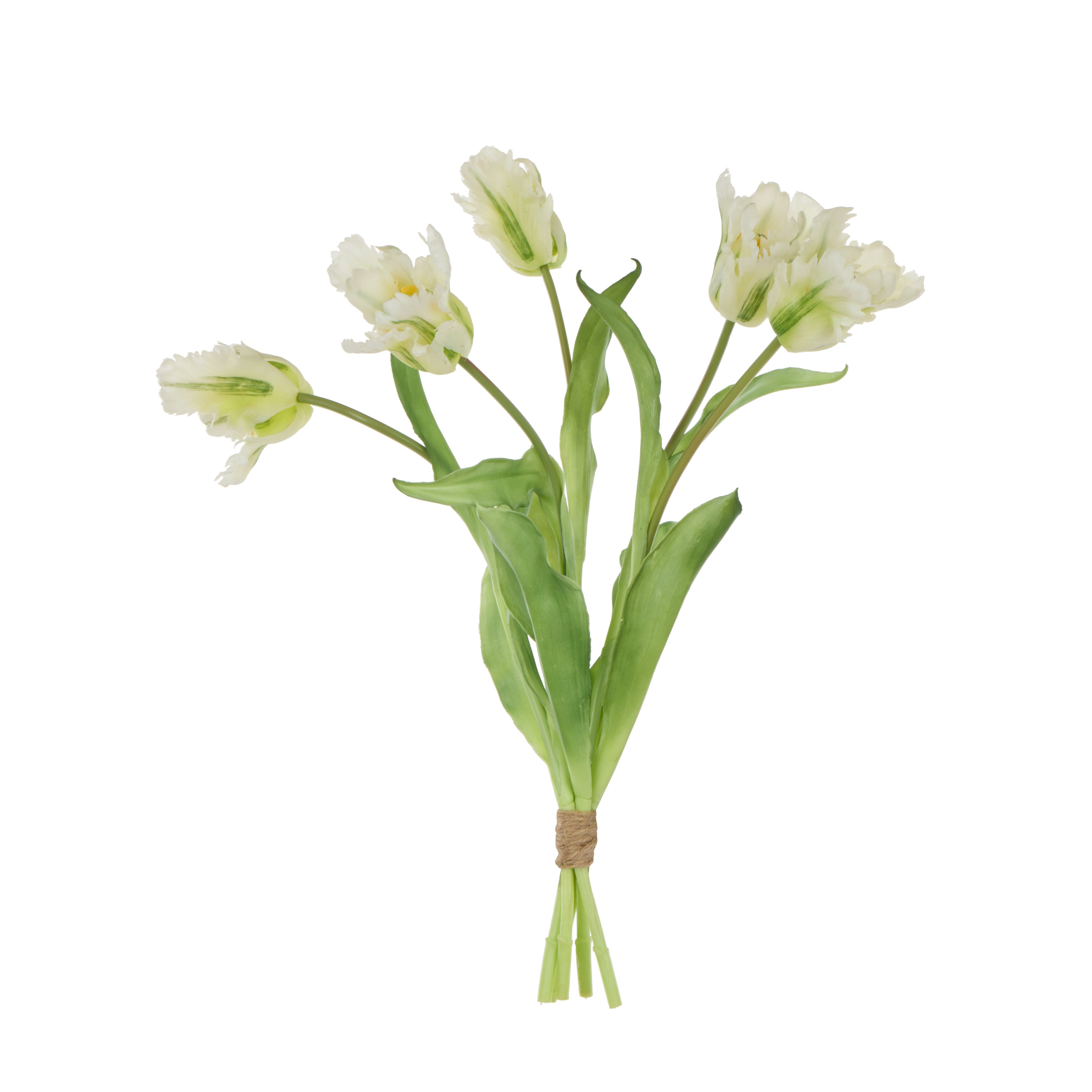 Rogue Parrot Tulip Bunch White