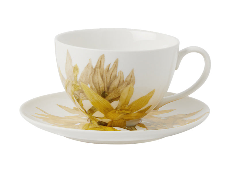 Maxwell & Williams Royal Botanic Gardens Australian Orchids Cup & Saucer White 240ml
