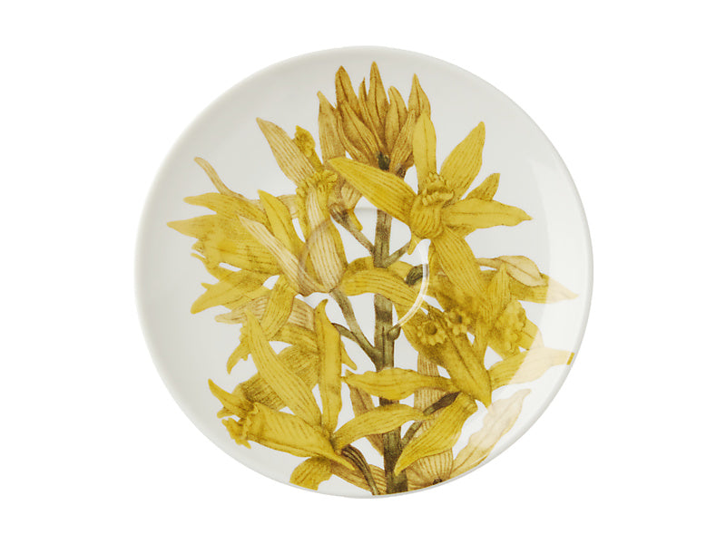 Maxwell & Williams Royal Botanic Gardens Australian Orchids Cup & Saucer White 240ml