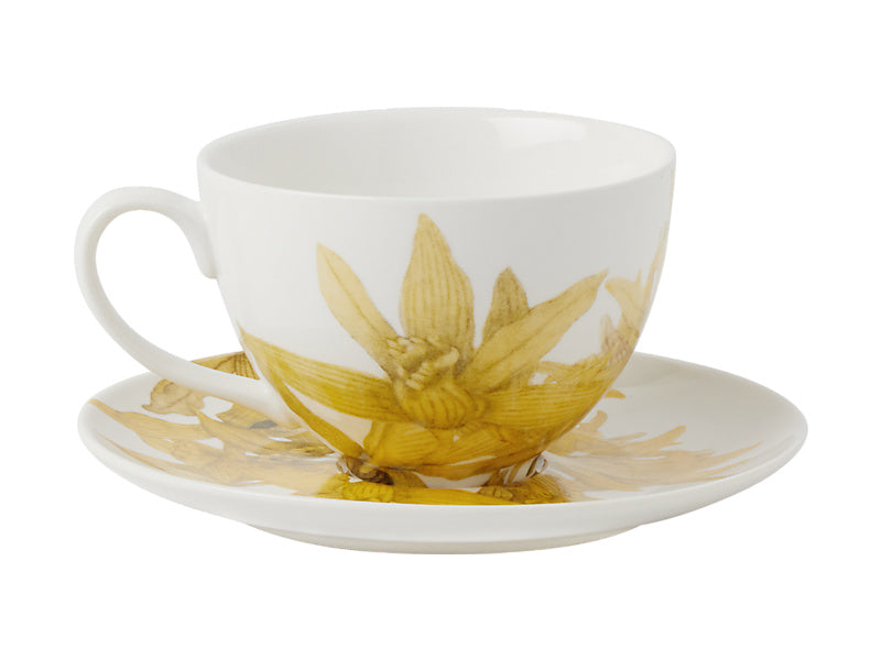 Maxwell & Williams Royal Botanic Gardens Australian Orchids Cup & Saucer White 240ml