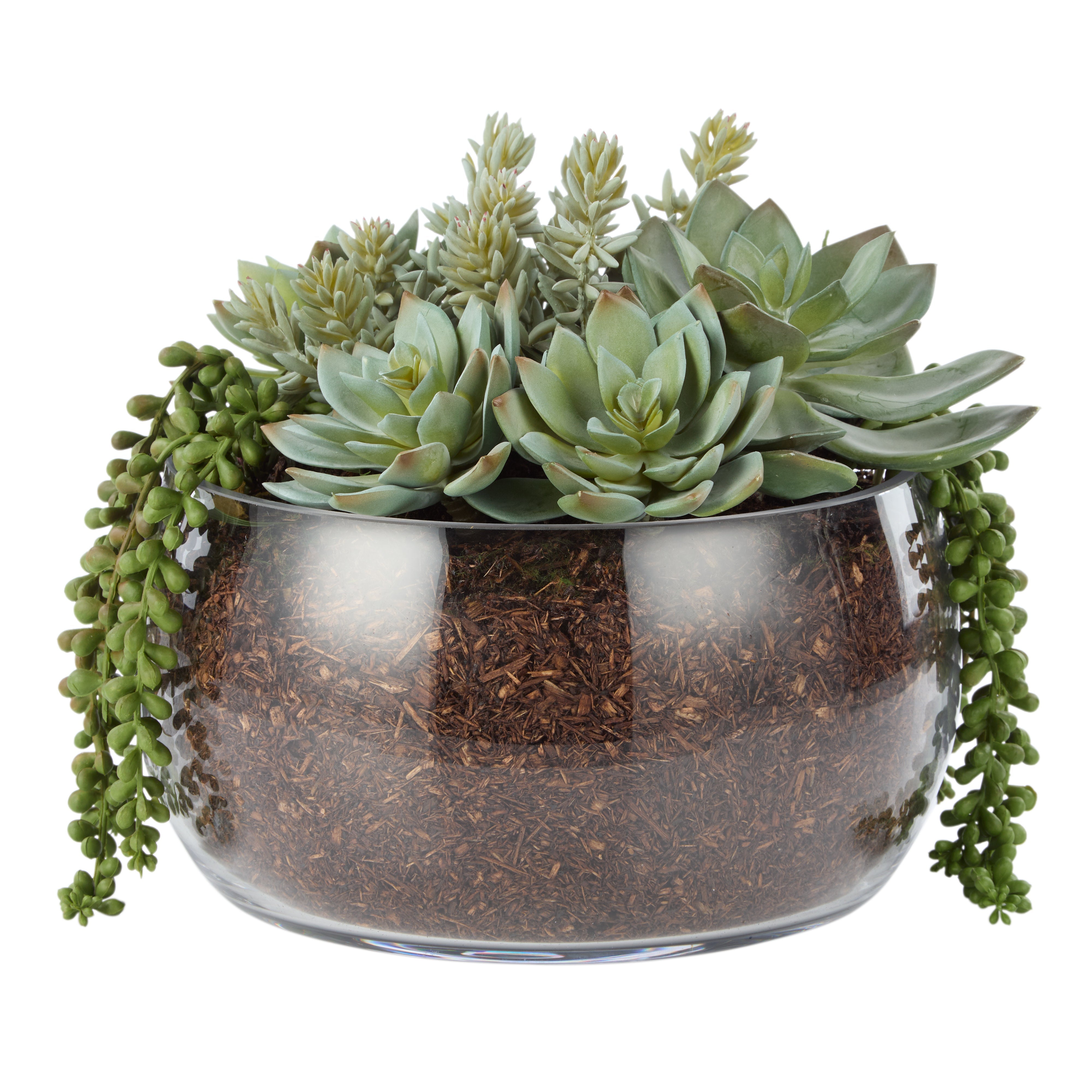 Rogue Succulent Mix - Scarlett Bowl 29cm