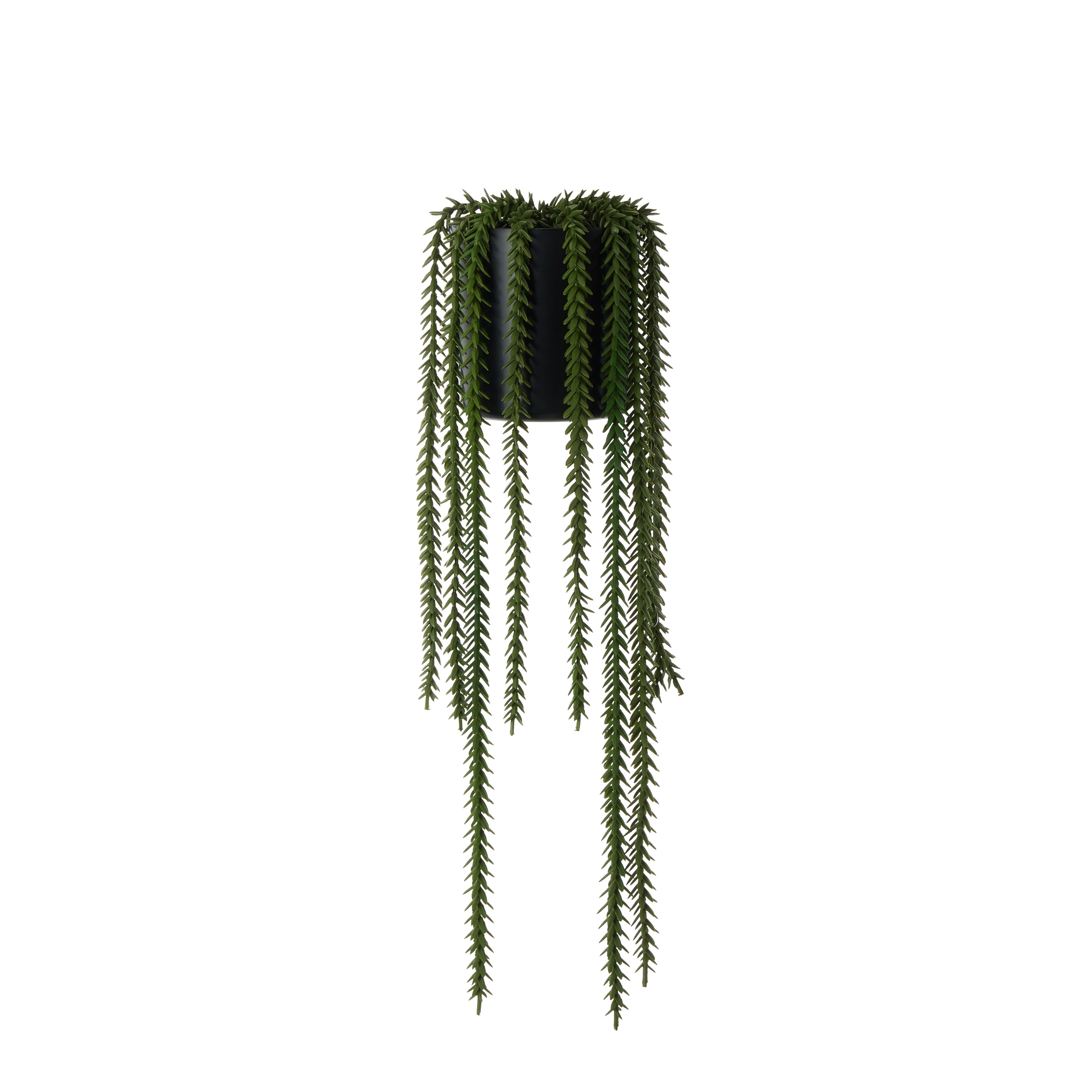 Rogue Princess Pine Garden Pot