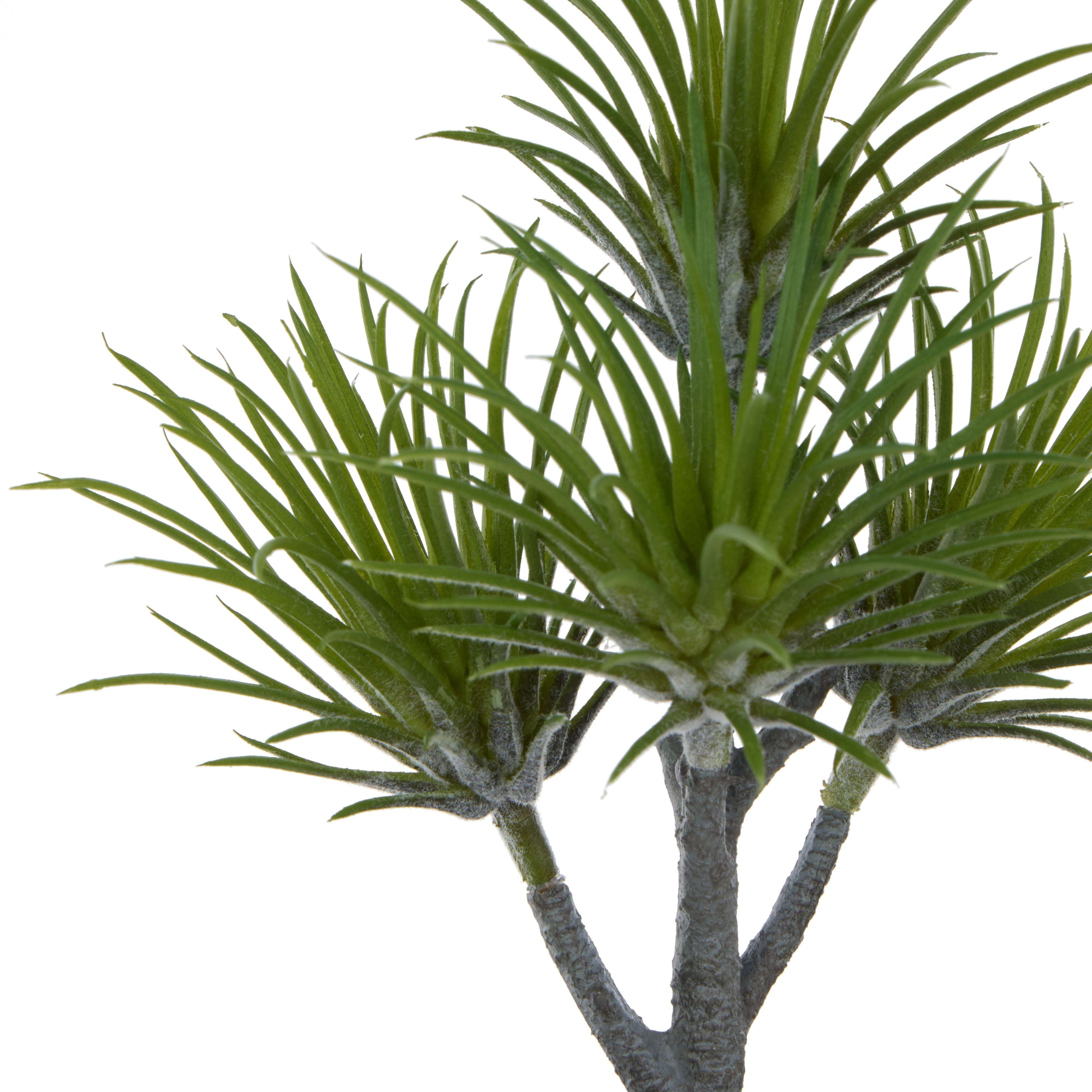 Rogue Air Plant Spray