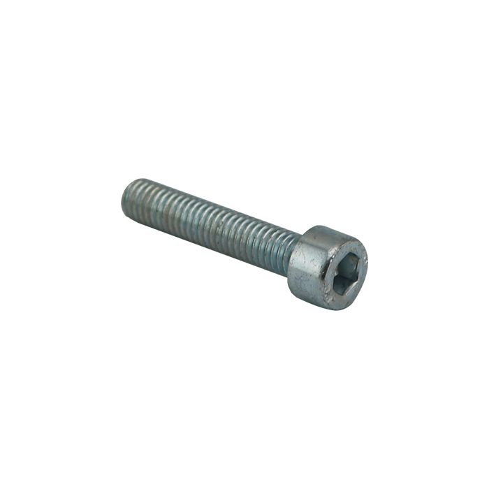 La Marzocco Screw M6x30 Socket Cap Galvanised