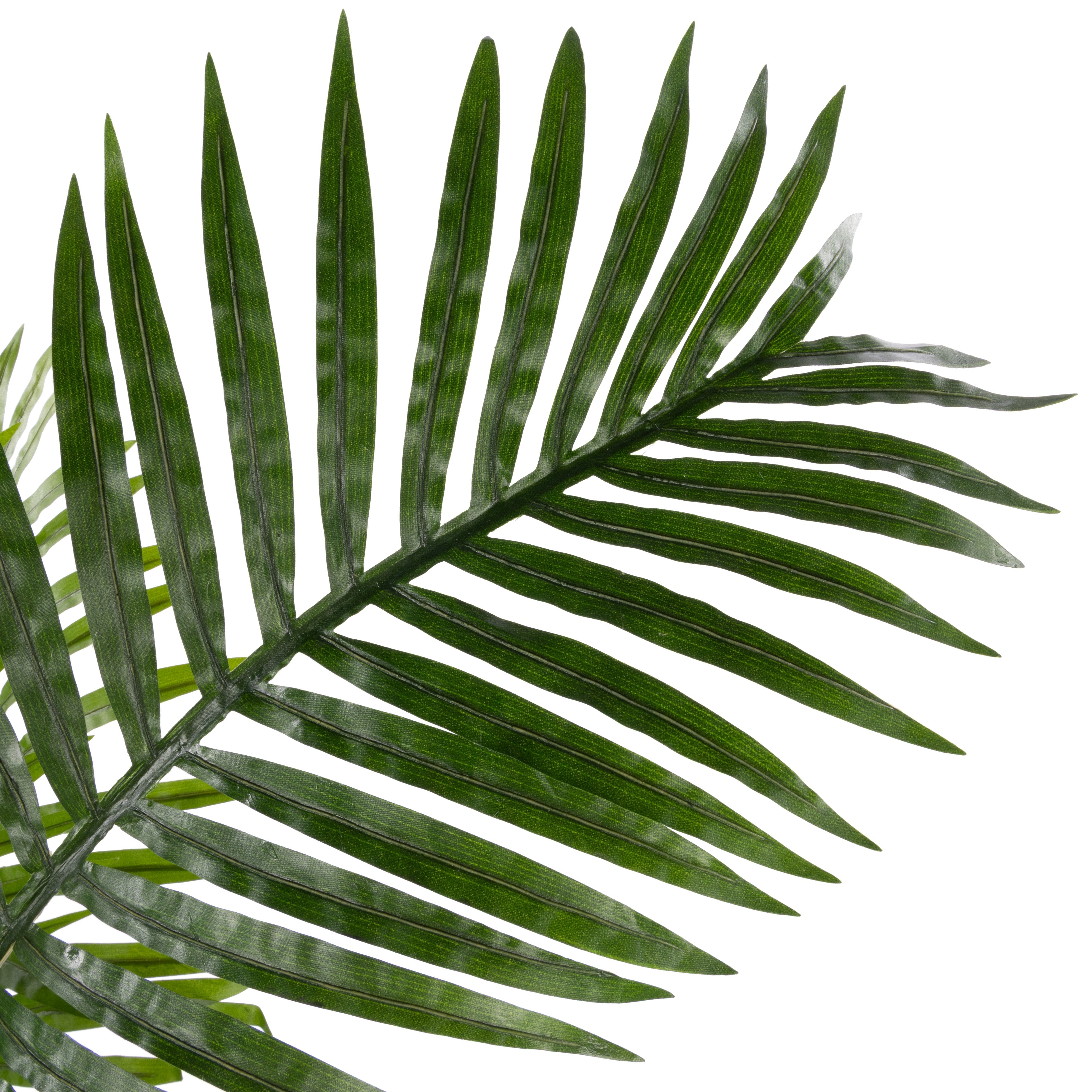 Rogue Areca Palm UV - Garden Pot 180cm