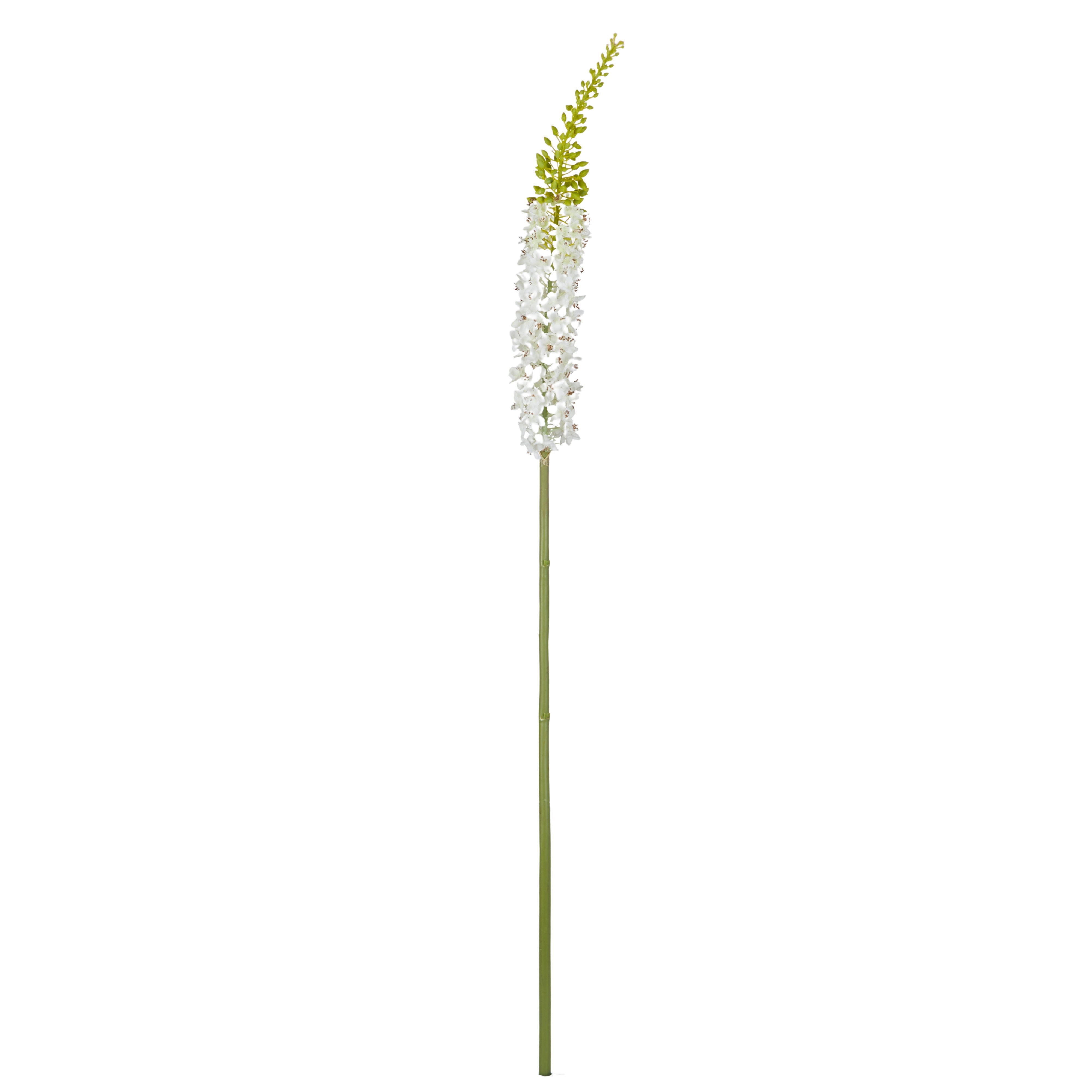 Rogue Foxtail Stem