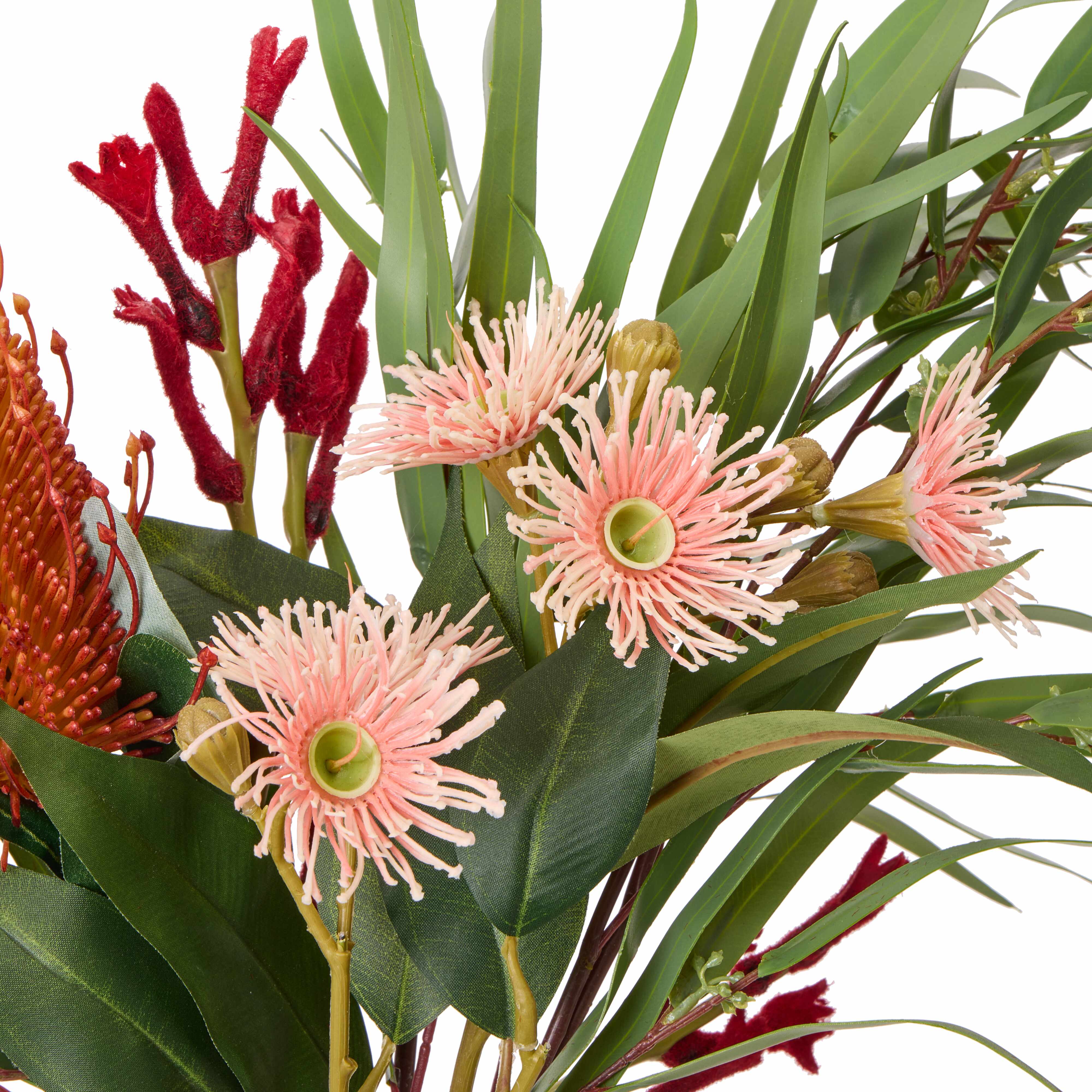 Rogue Native Banksia Mix - Rachel Vase Multi-Coloured