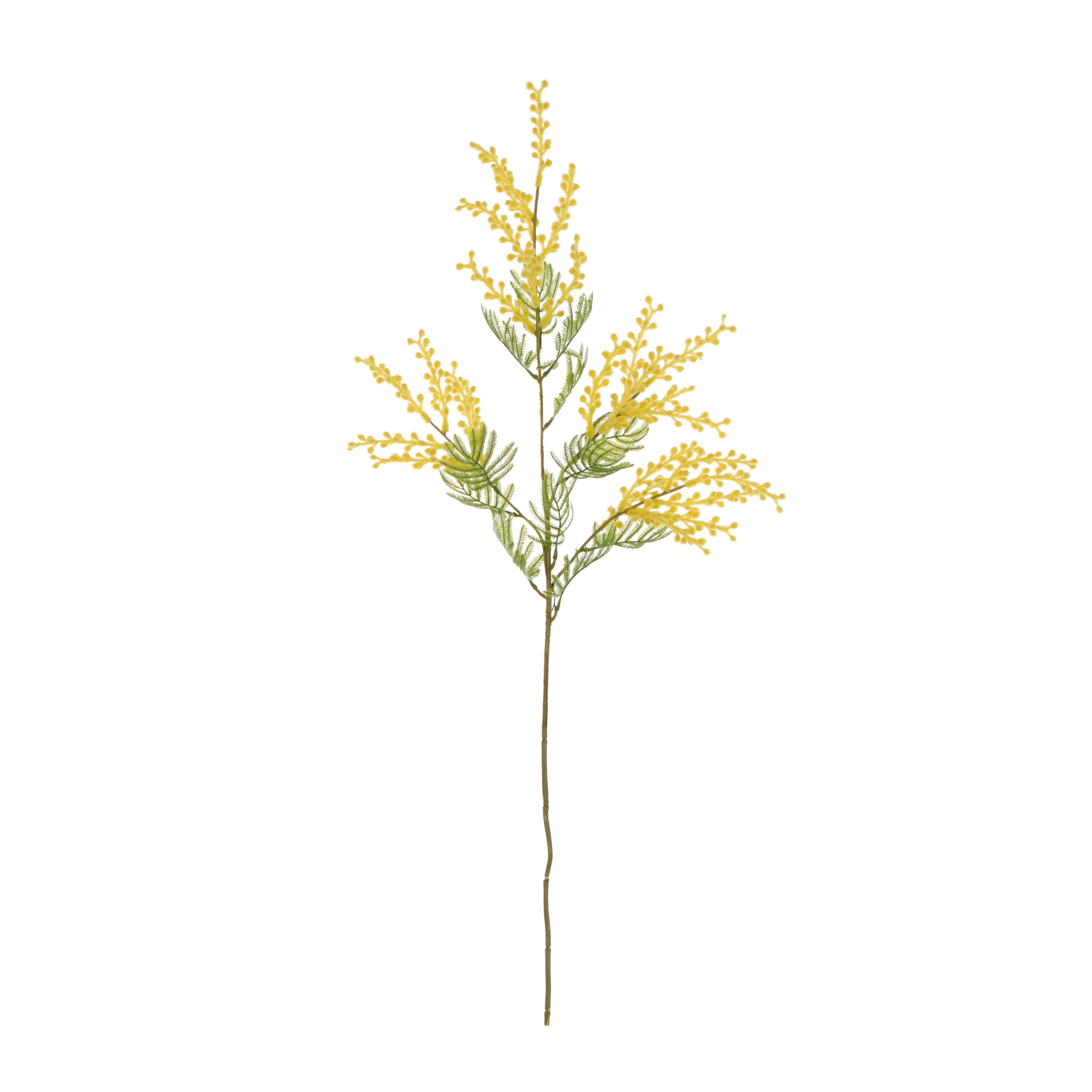 Rogue Wattle Spray
