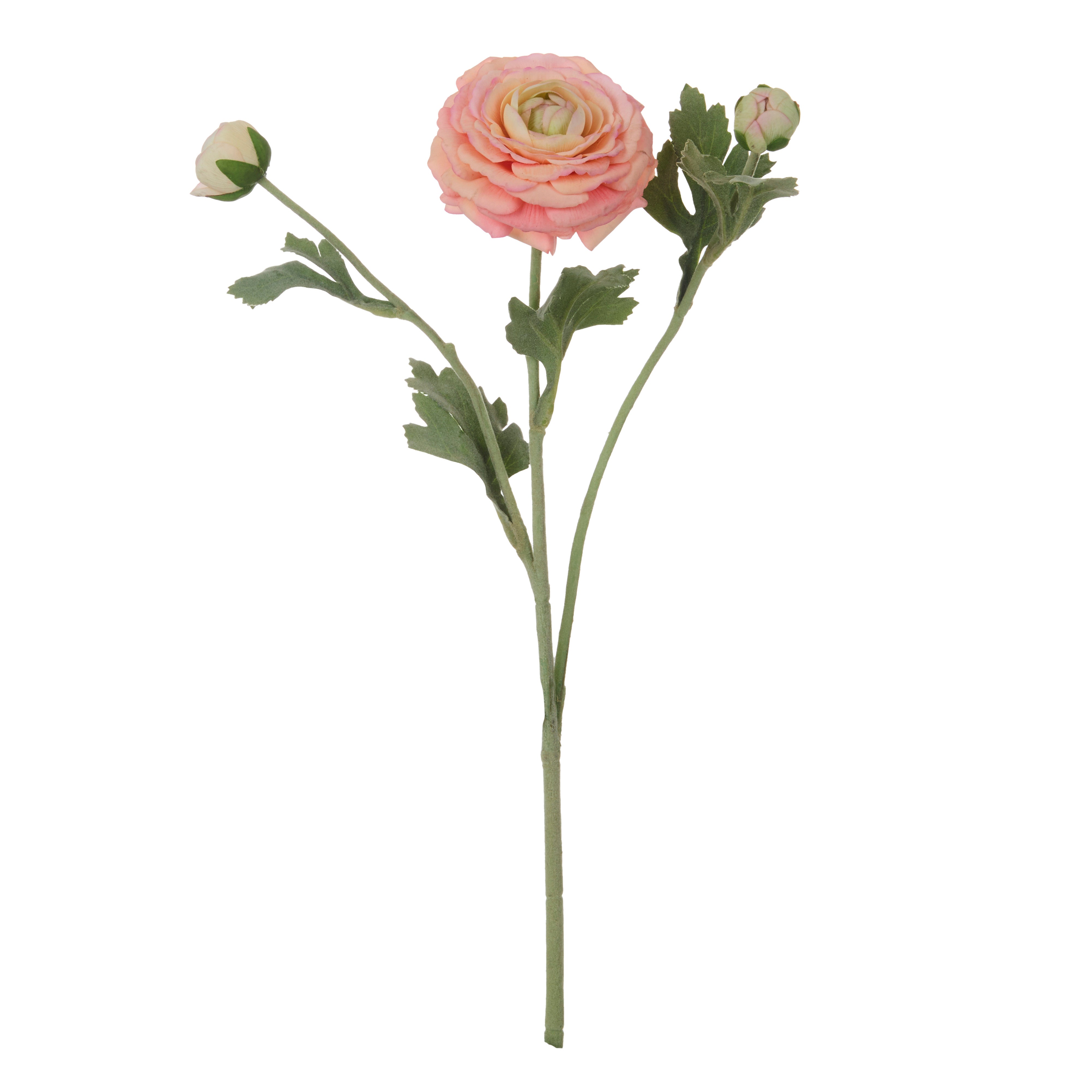 Rogue Ranunculus Real Touch Spray Champagne