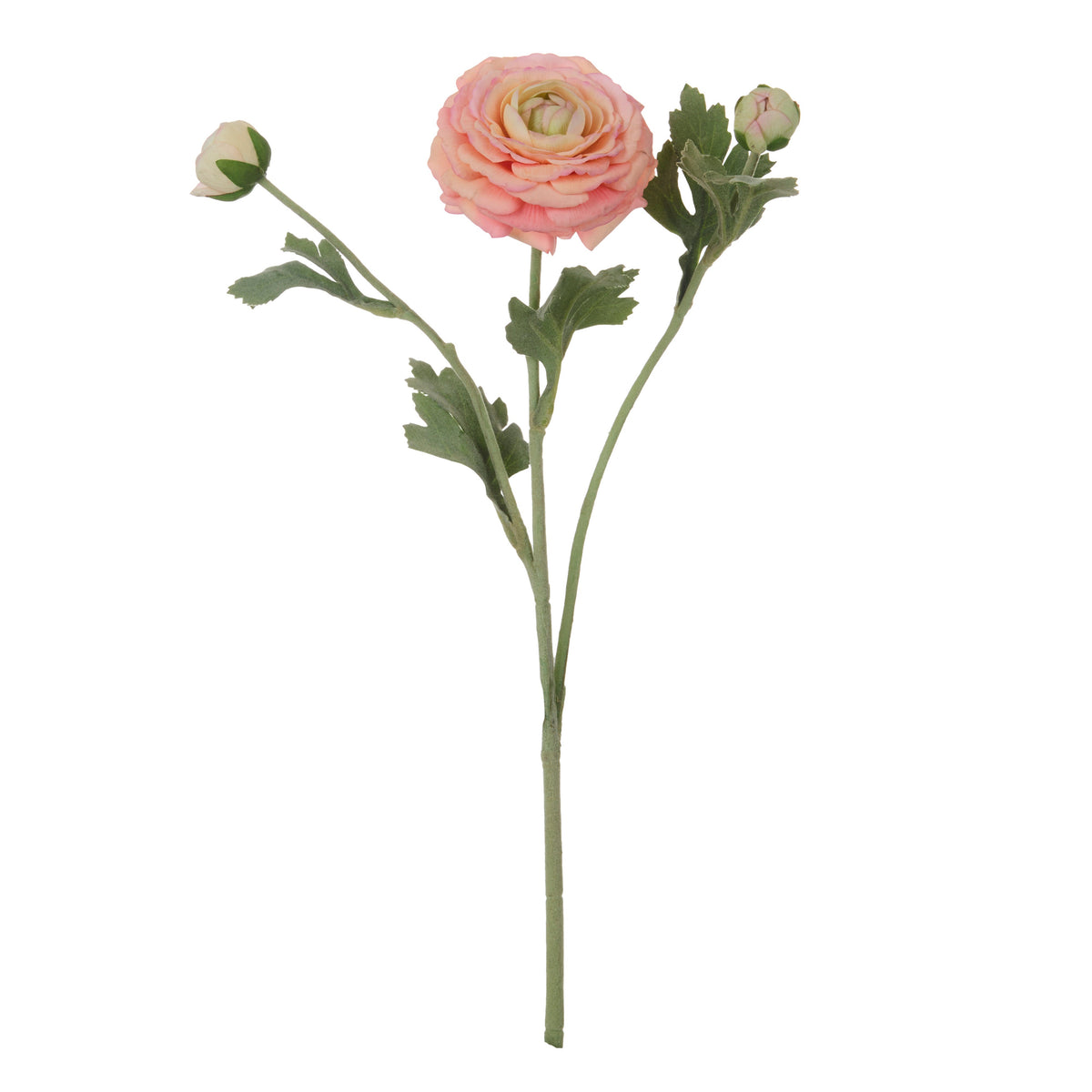 Rogue Ranunculus Real Touch Spray Champagne