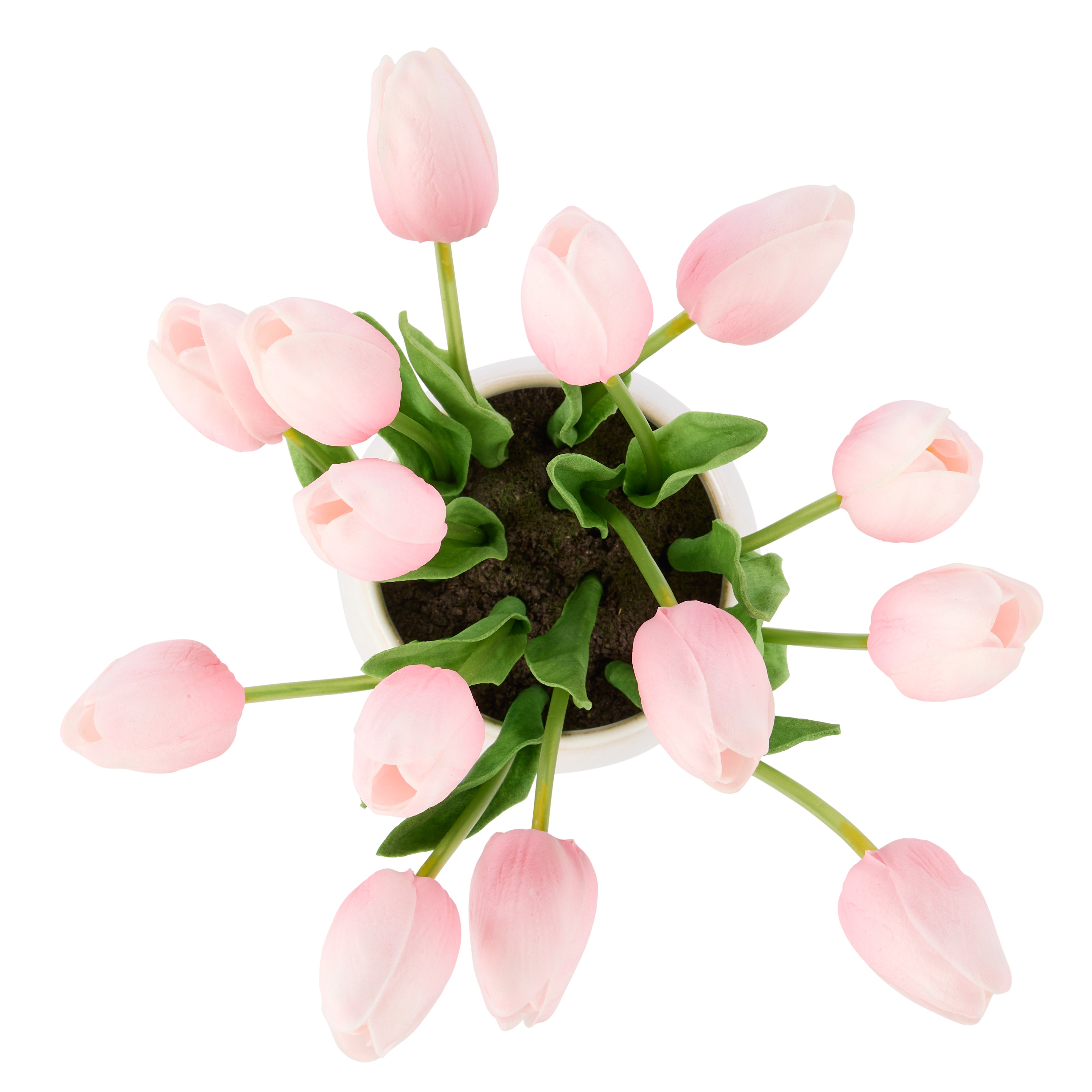 Rogue Tulip Bunch - Gianna Pot
