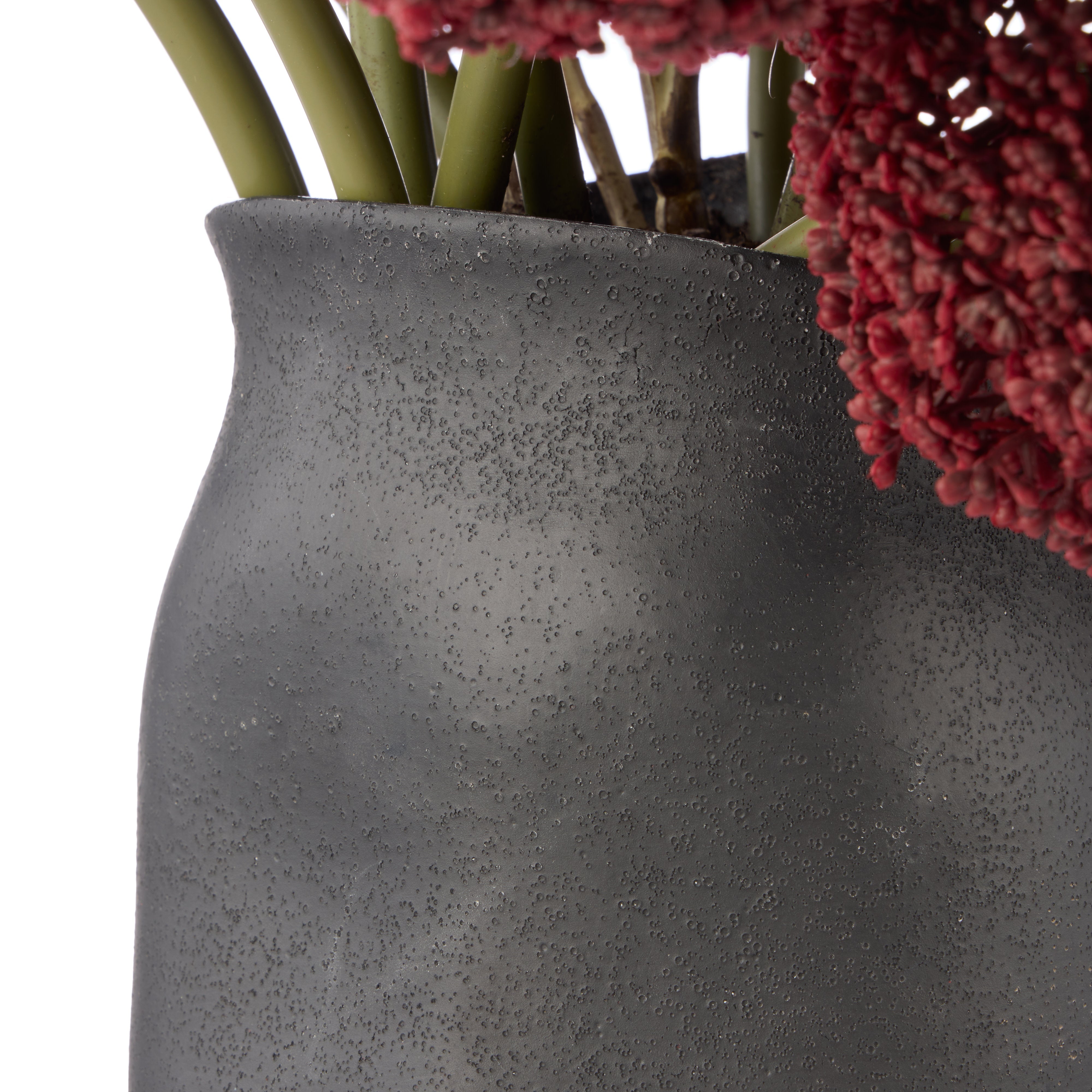 Rogue Allium - Maliah Pot Purple