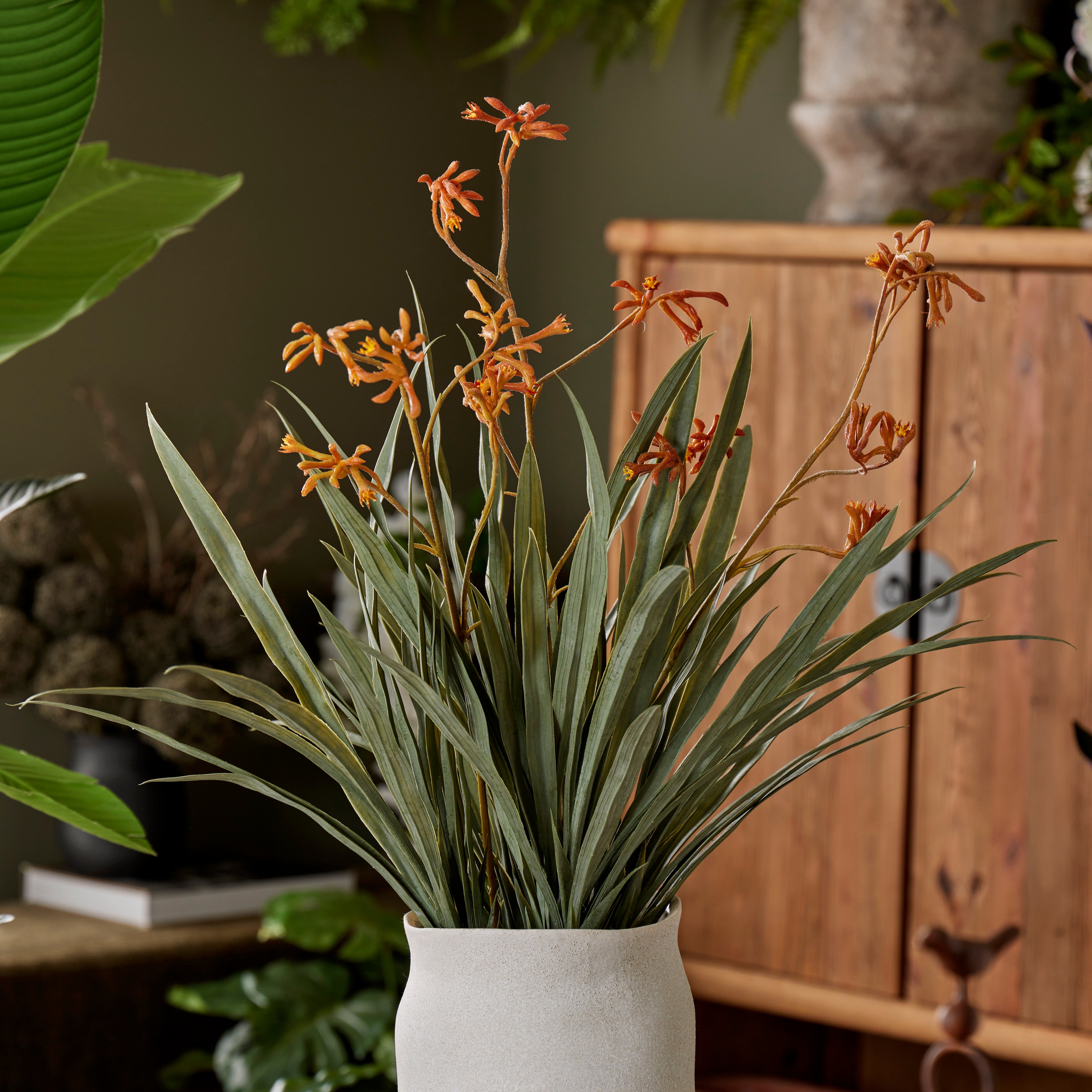 Rogue Kangaroo Paw - Maliah Pot Yellow 76cm