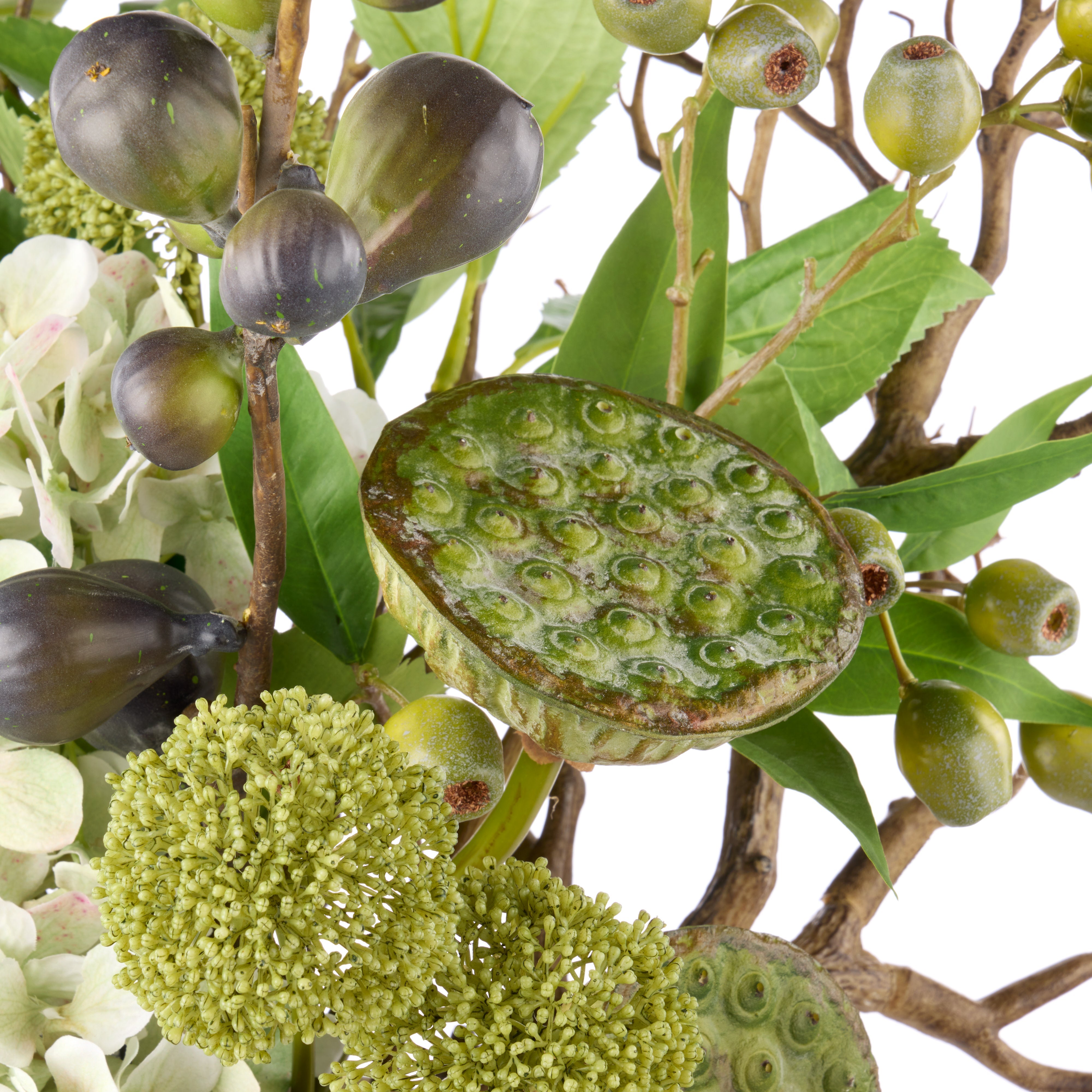 Rogue Hydrangea Lotus Pod Fig Mix - Maliah Pot