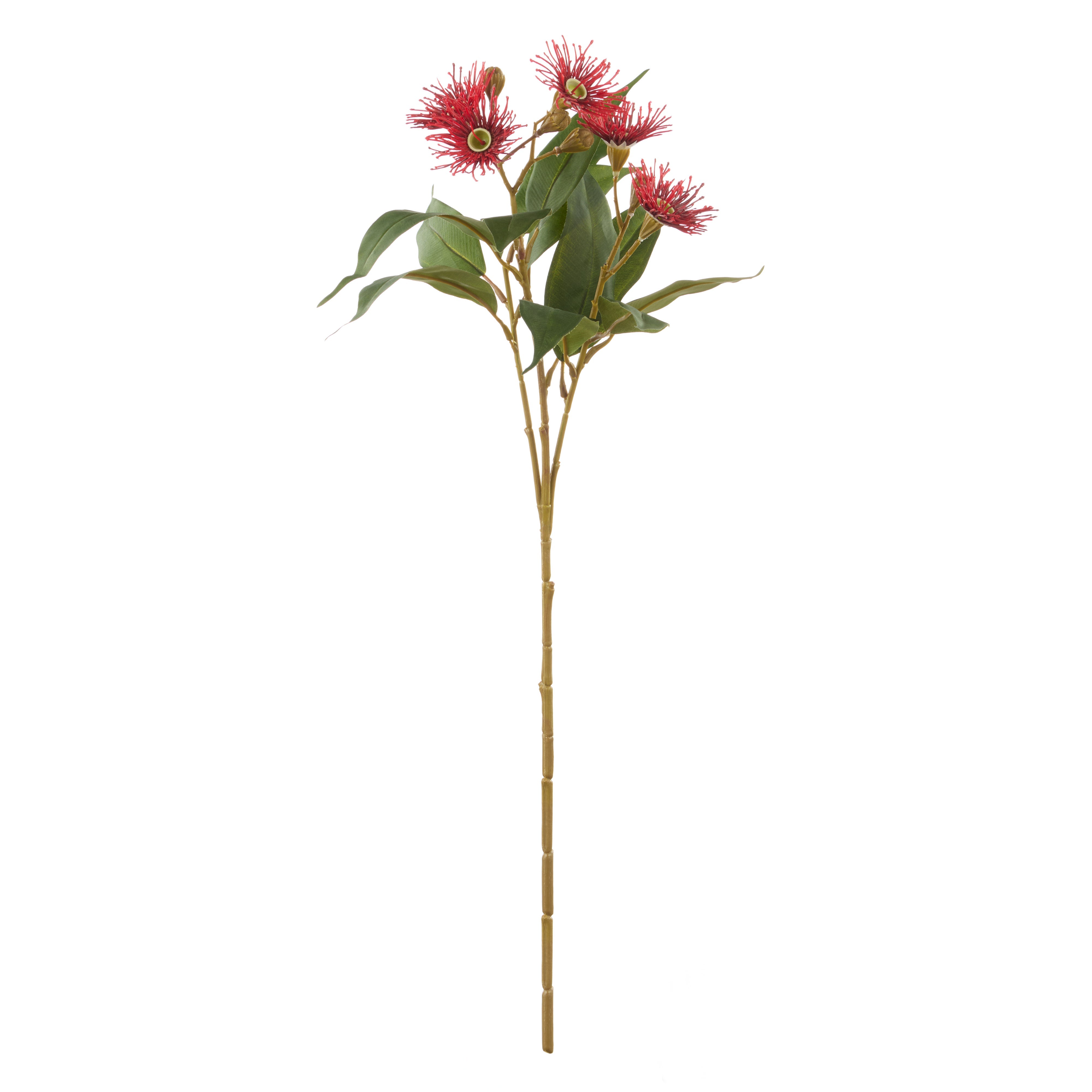 Rogue Eucalyptus Flower Spray Red