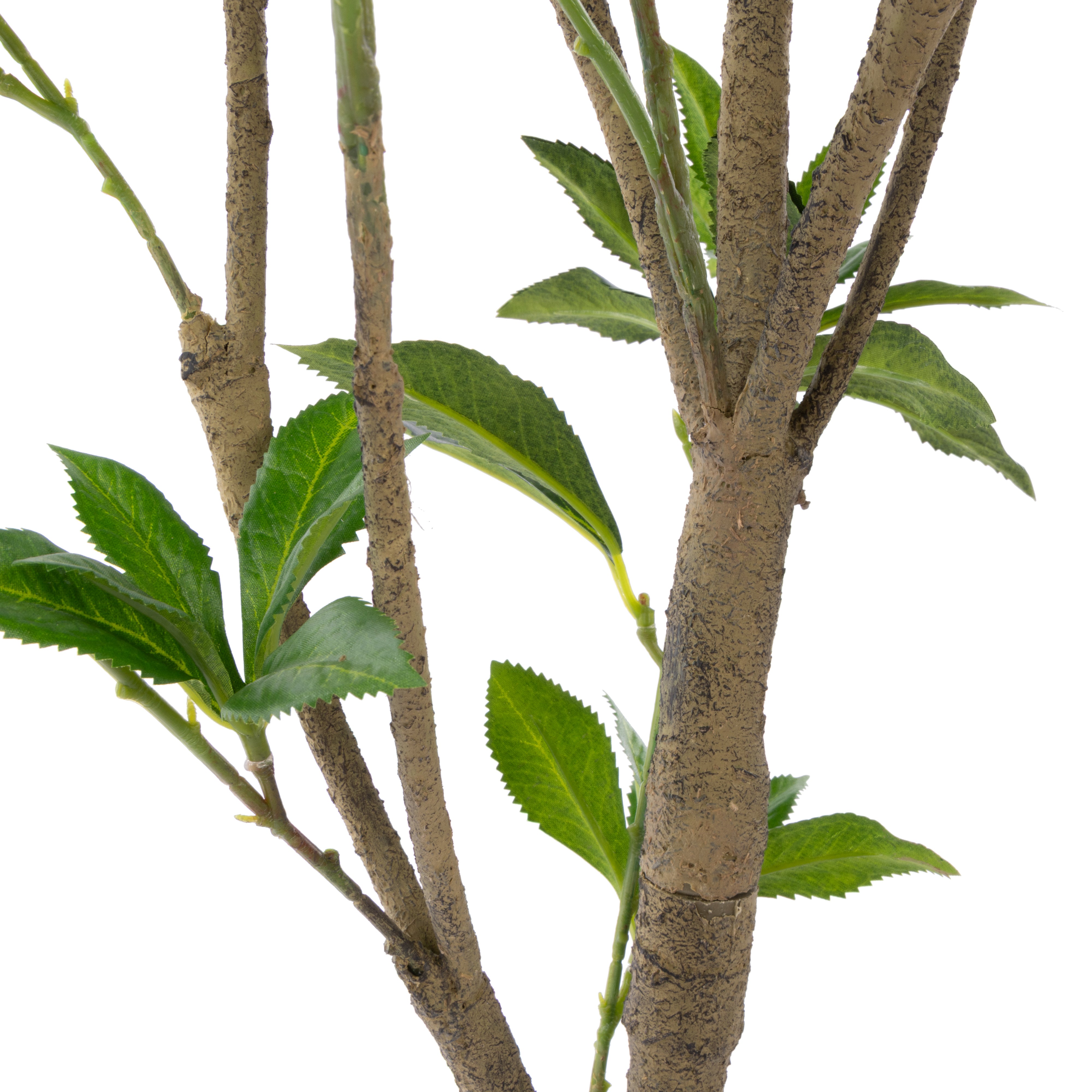 Rogue Japonica Tree UV - Garden Pot 120cm