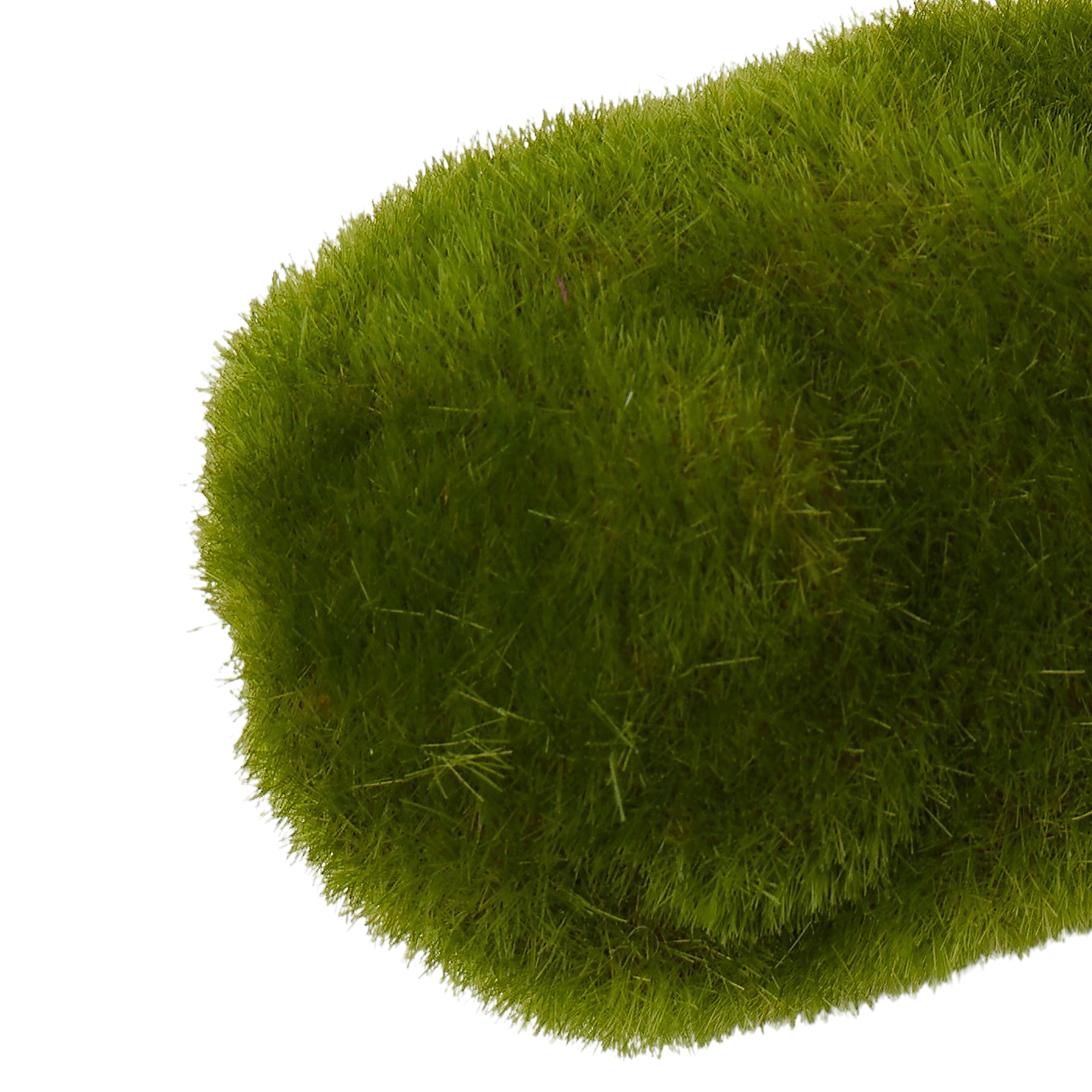 Rogue Moss Stone 3cm