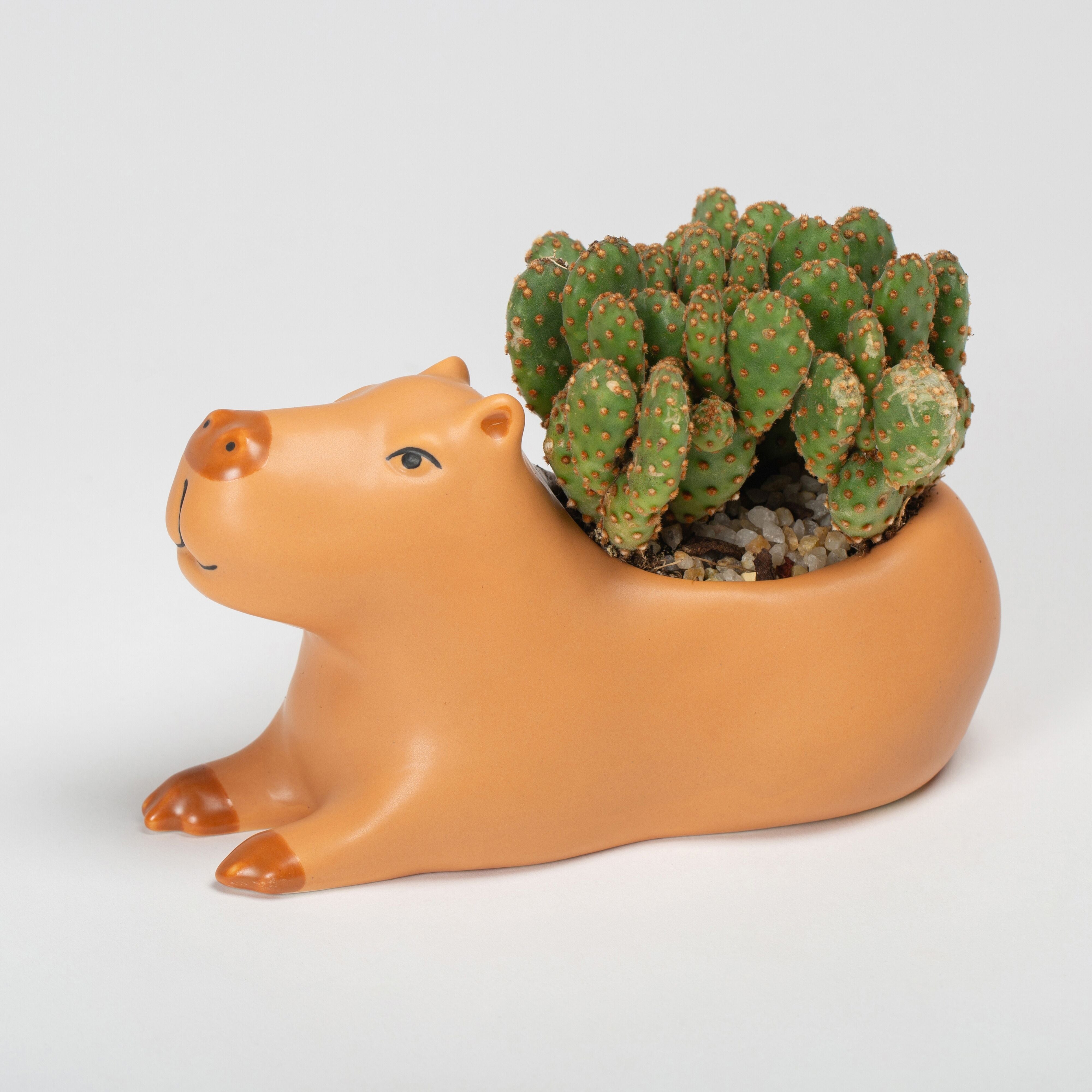 Kikkerland Cappy the Capybara Planter Large Brown