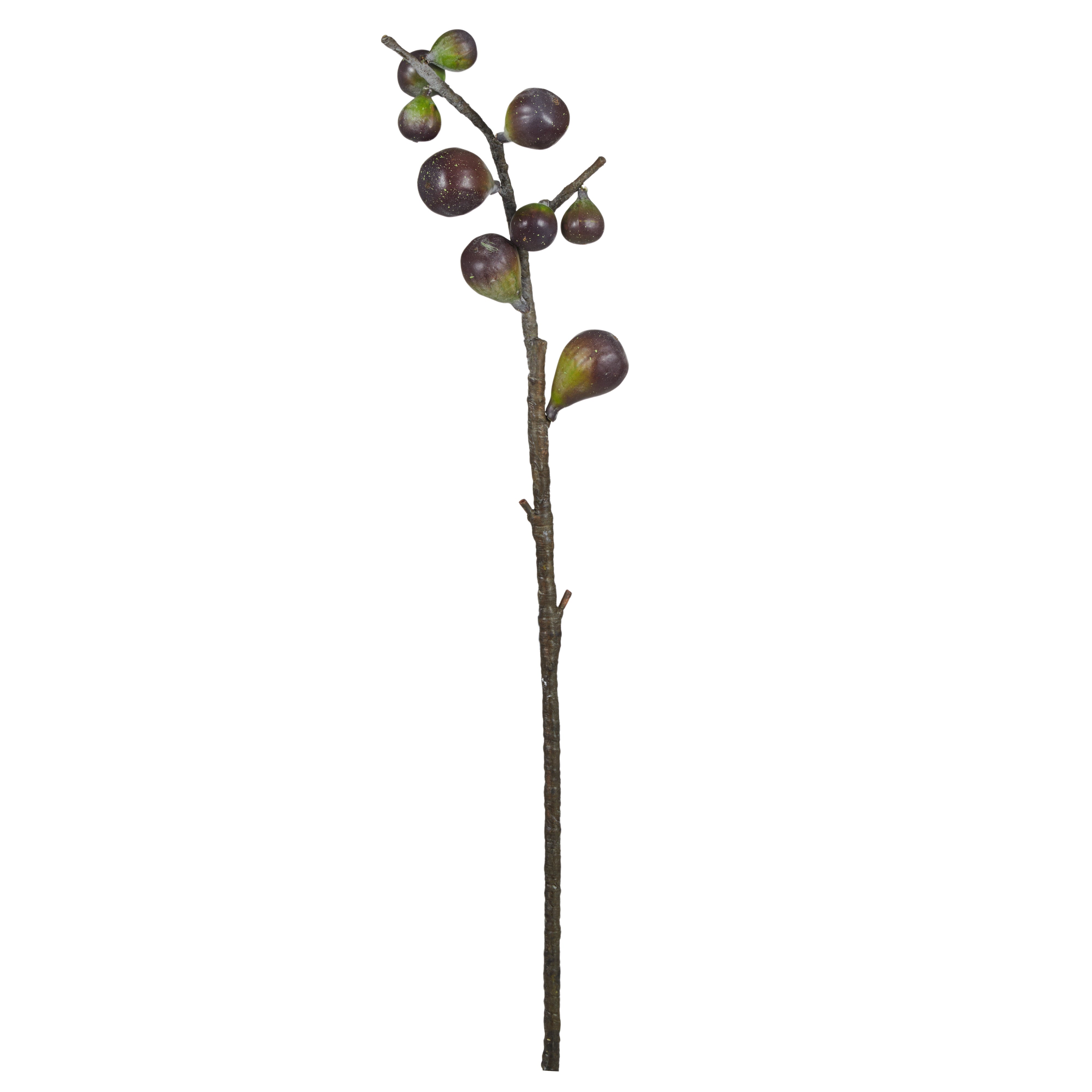 Rogue Wild Fig Spray