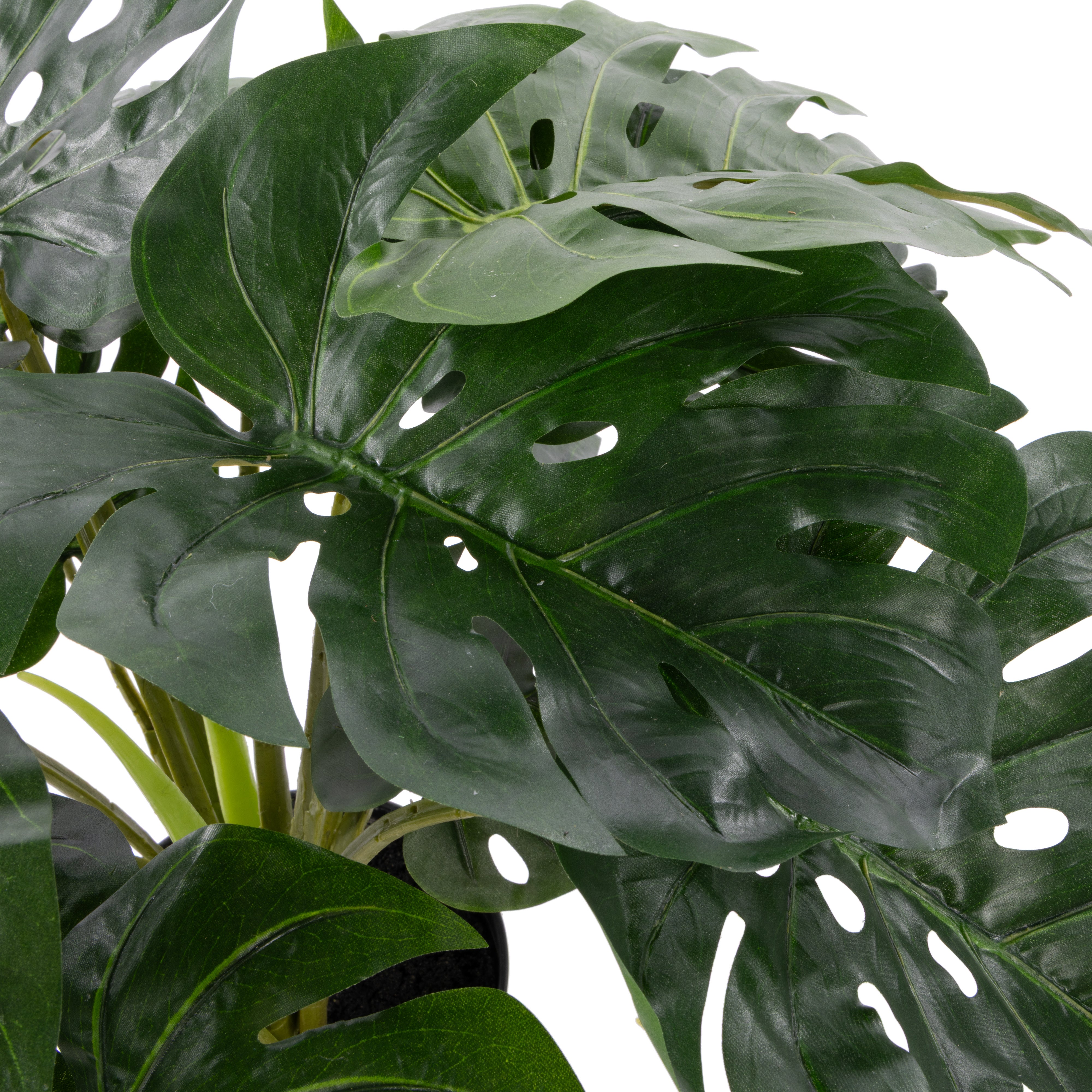 Rogue Monstera UV - Garden Pot 60cm