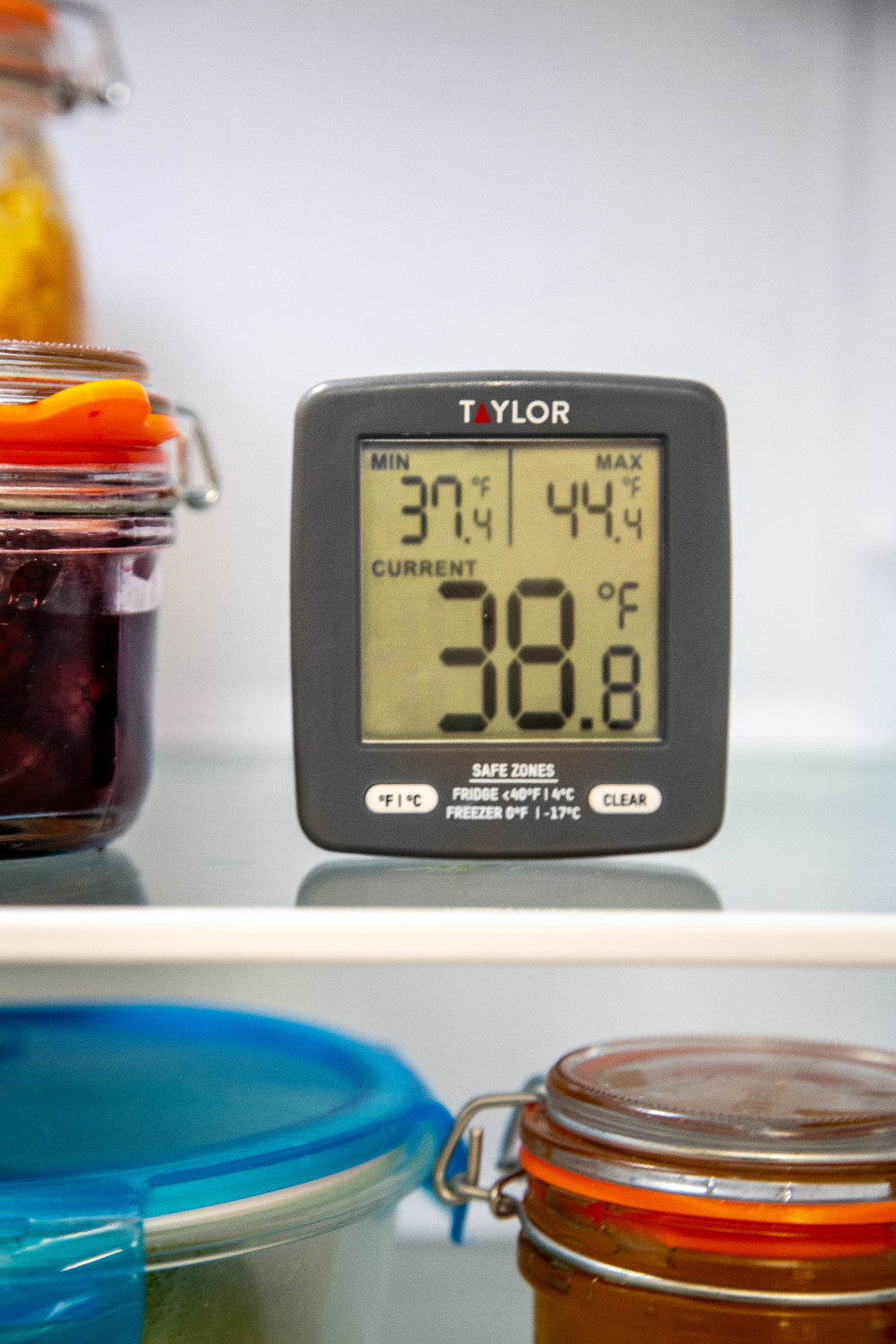 Taylor Pro Digital Fridge & Freezer Thermometer