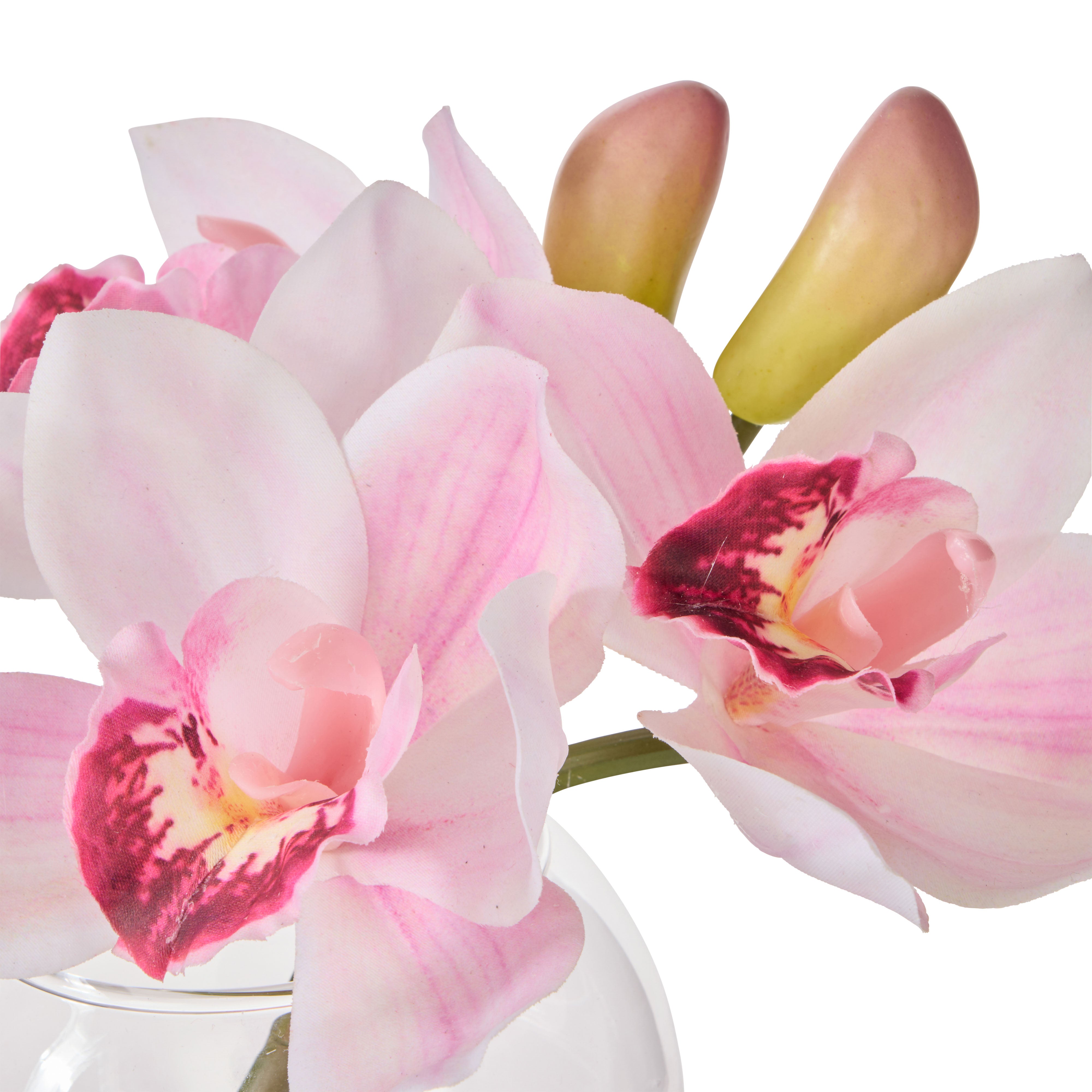 Rogue Cymbidium-Glass Vase Pink 16cm
