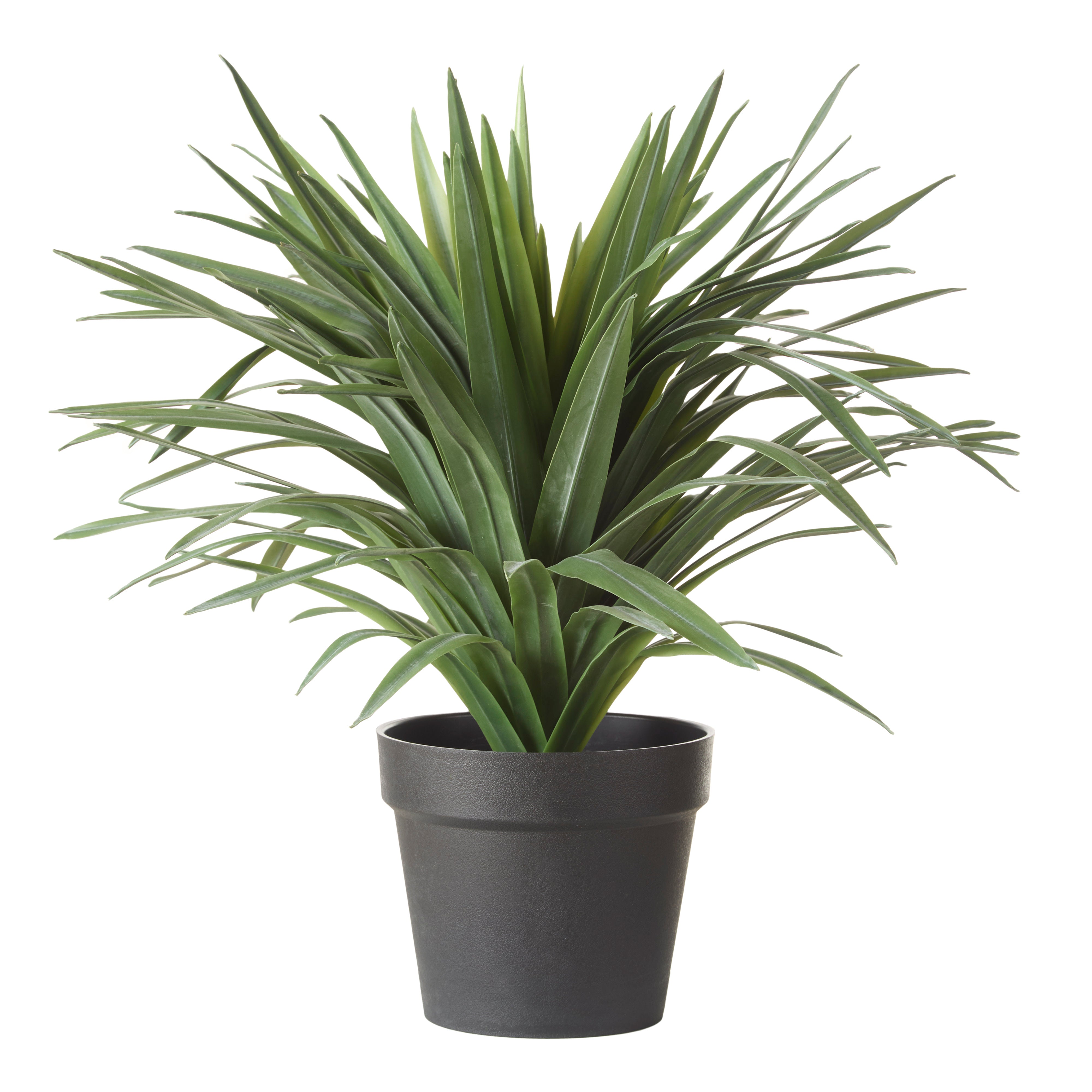 Rogue Sisal Plant UV 48cm