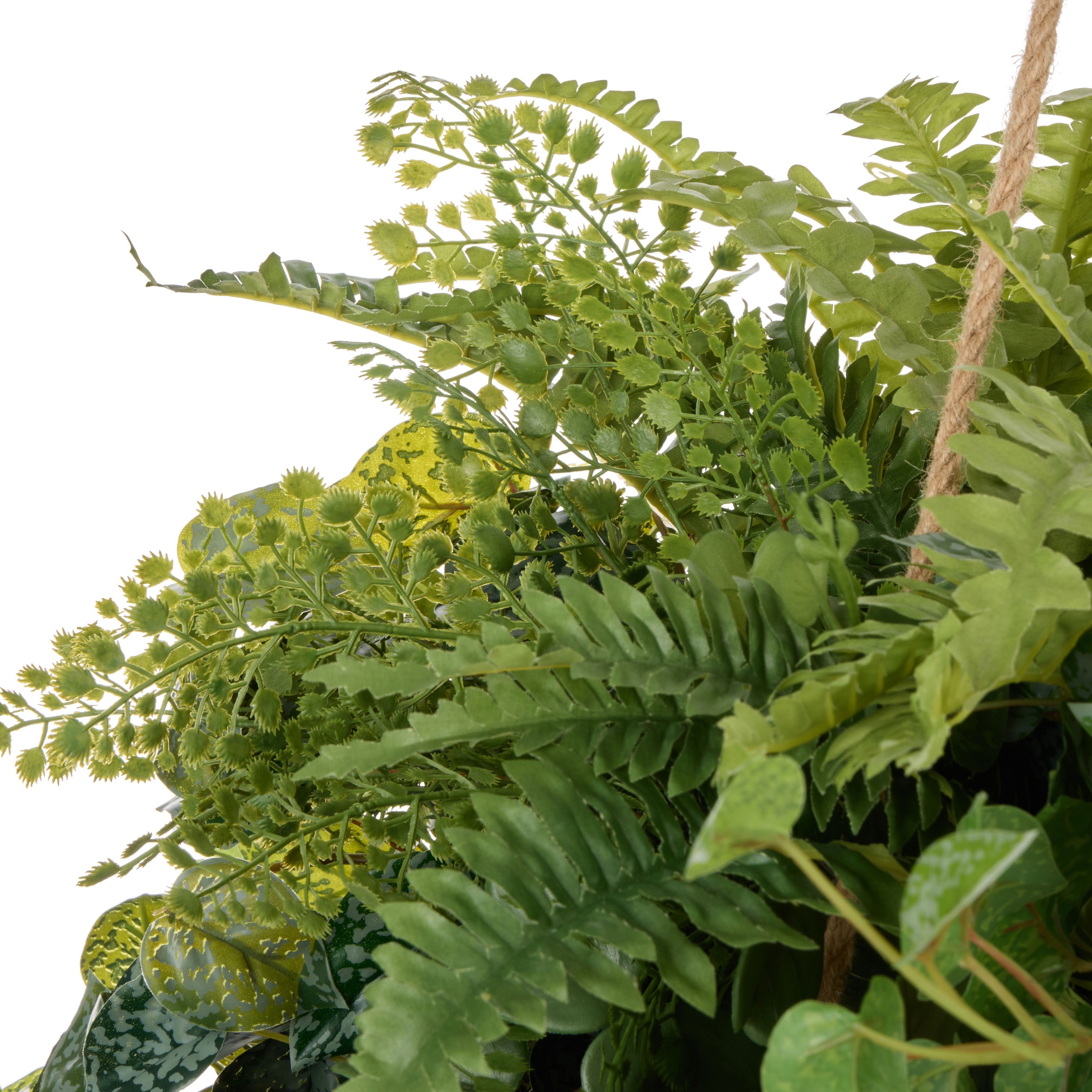 Rogue Fern Garden Mix - Laos Hanging 147cm