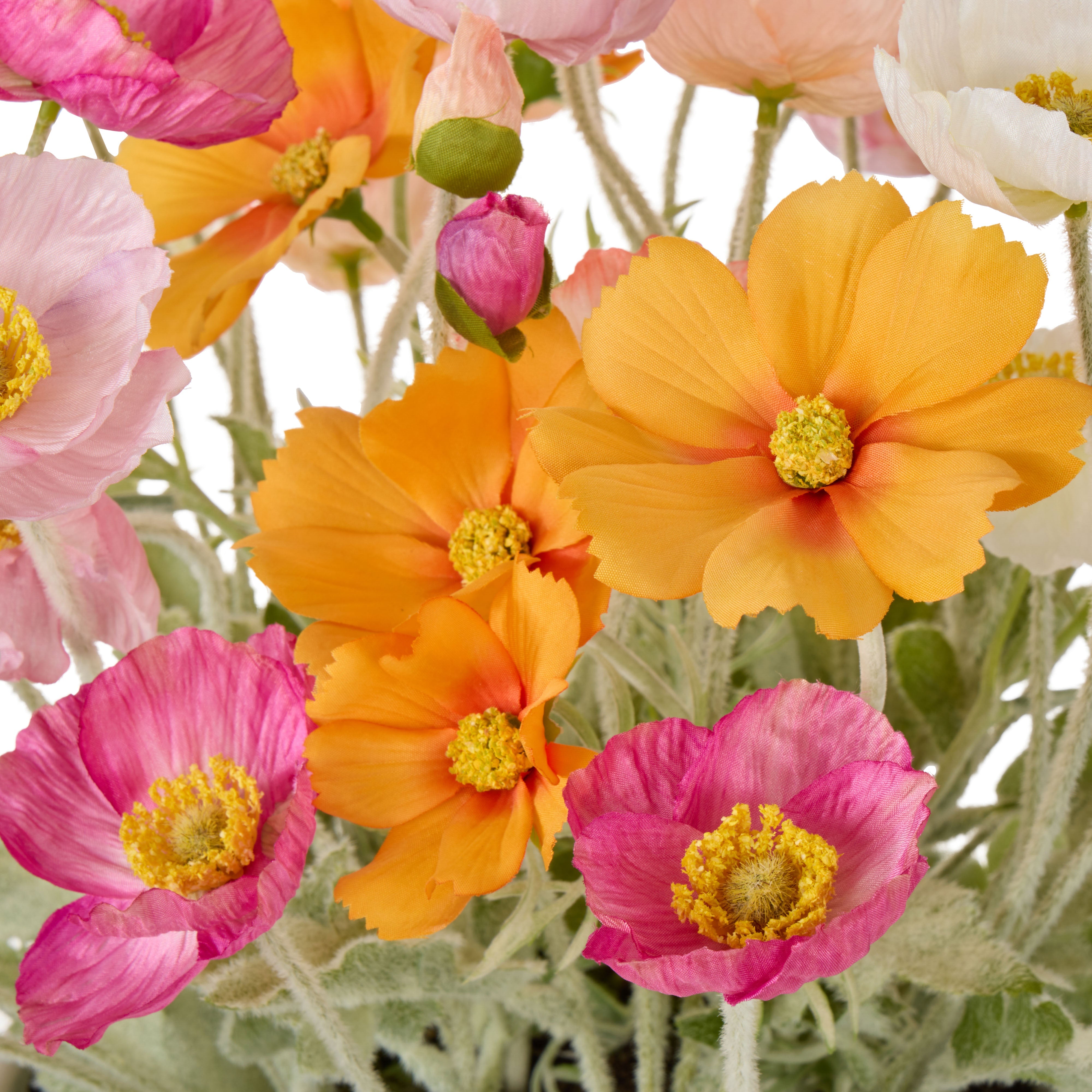 Rogue Poppy Garden - Delos Multi-Coloured & White