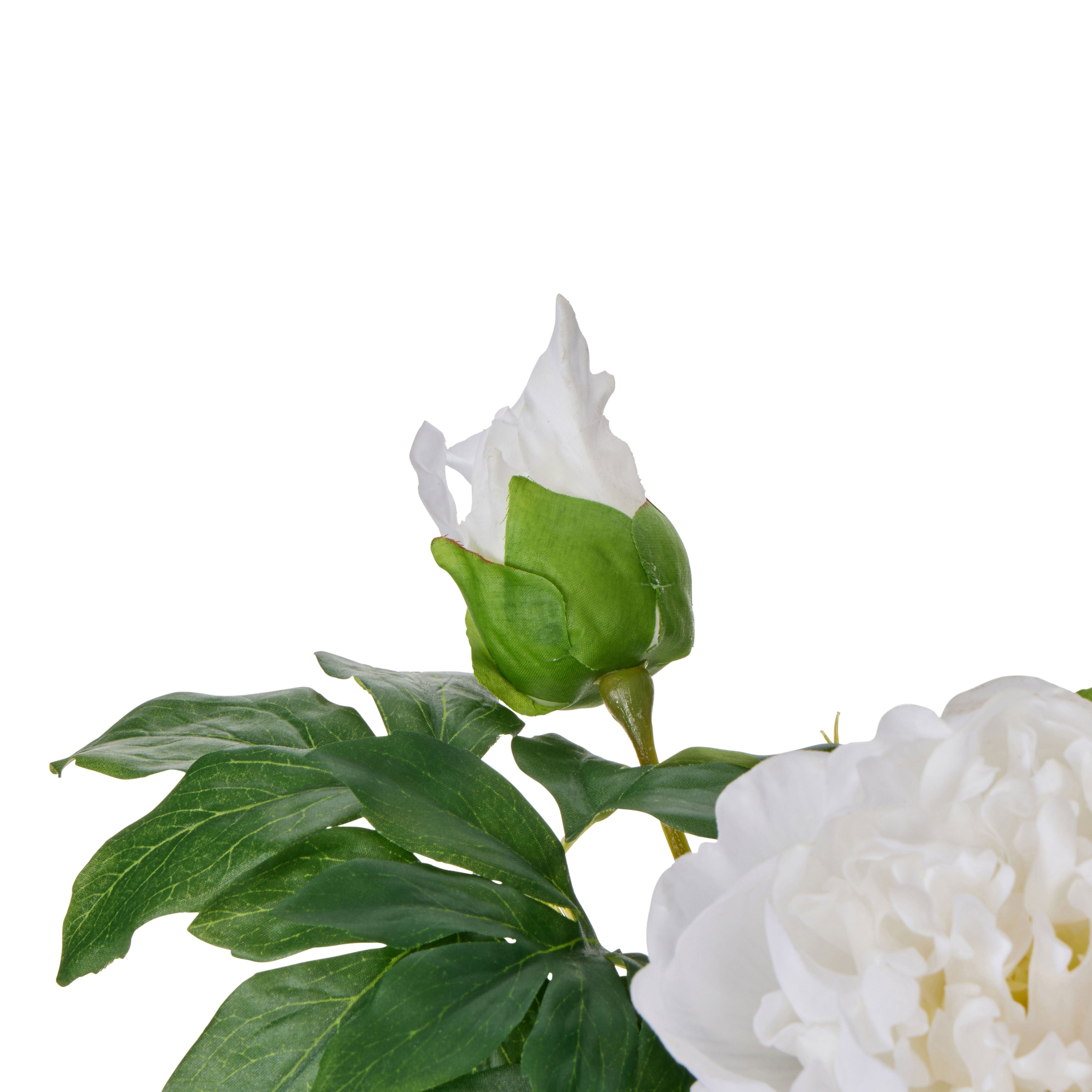 Rogue Peony Real Touch Sphere Vase