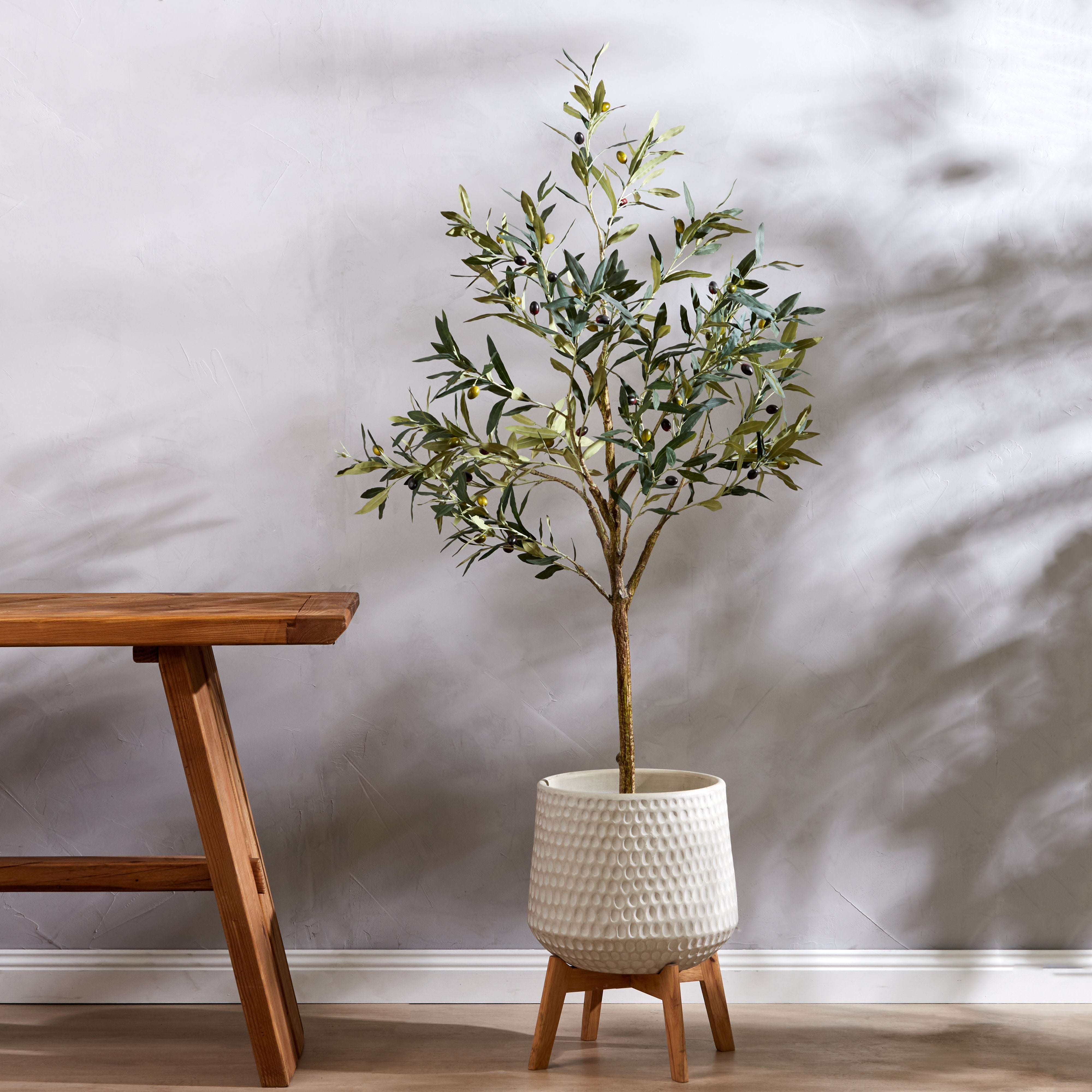 Rogue Olive Tree 152cm