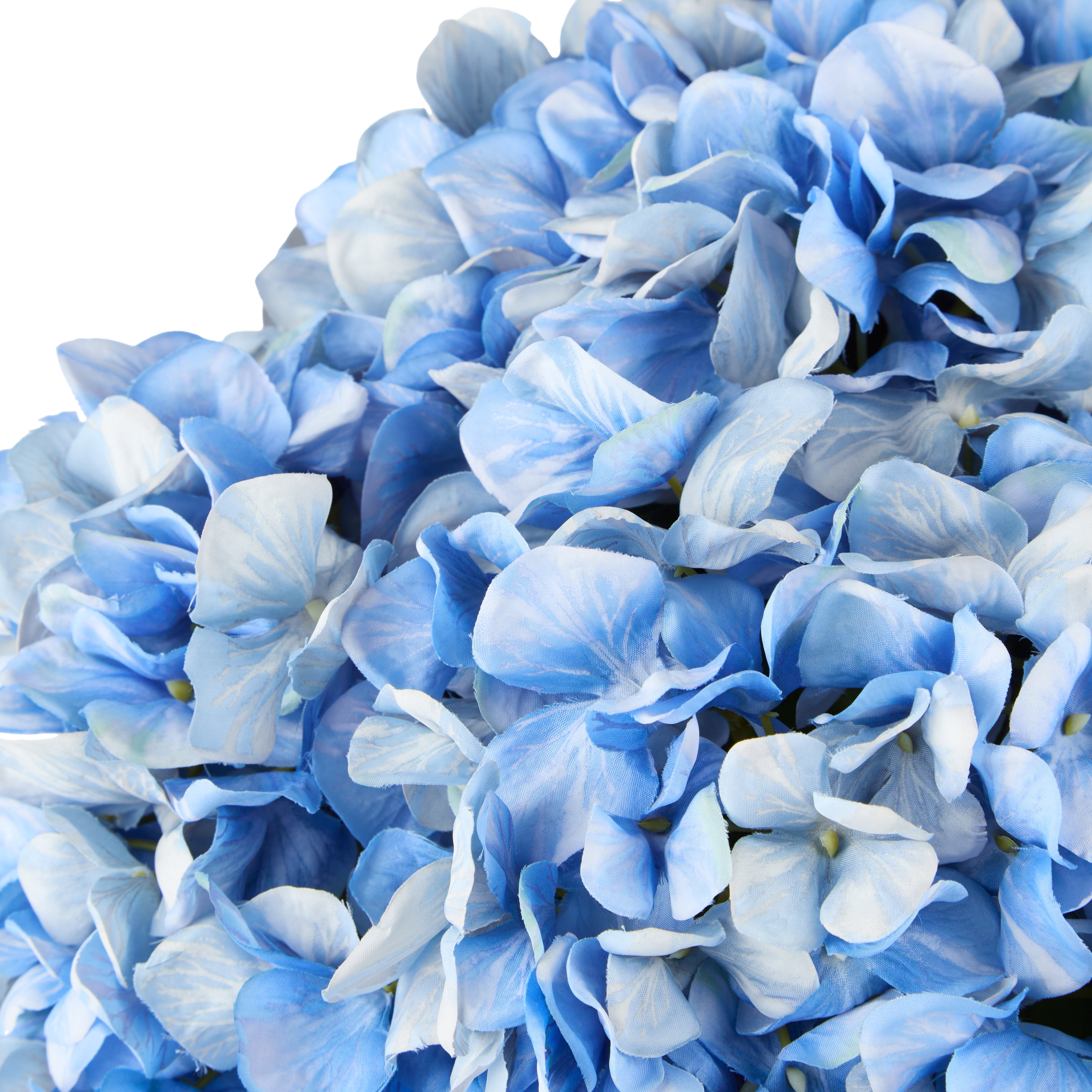 Rogue Hydrangea - Phoebe Sphere Vase Blue/Glass