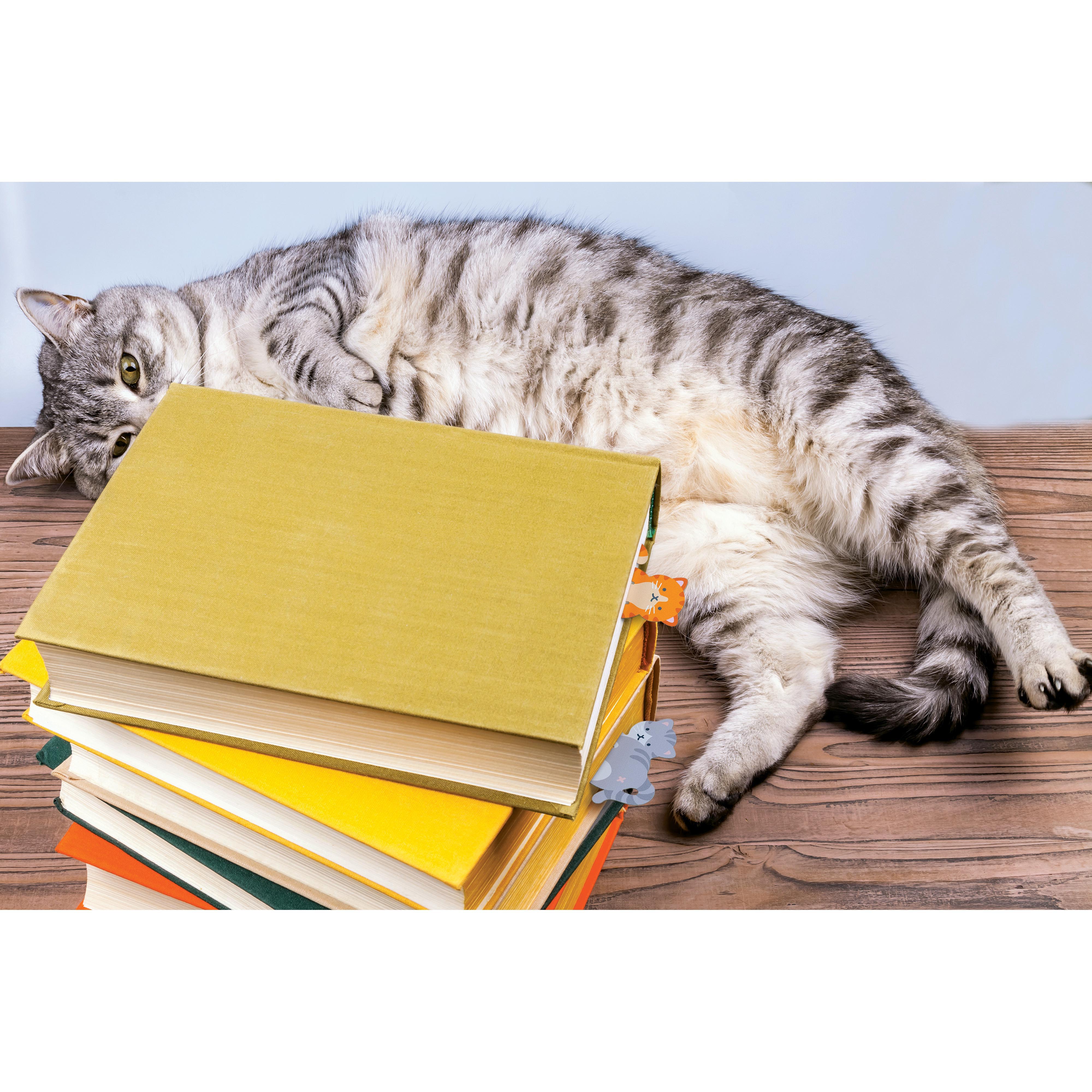 Fred Tale End Cat Bookmarks 2 Piece Set Multi-Coloured