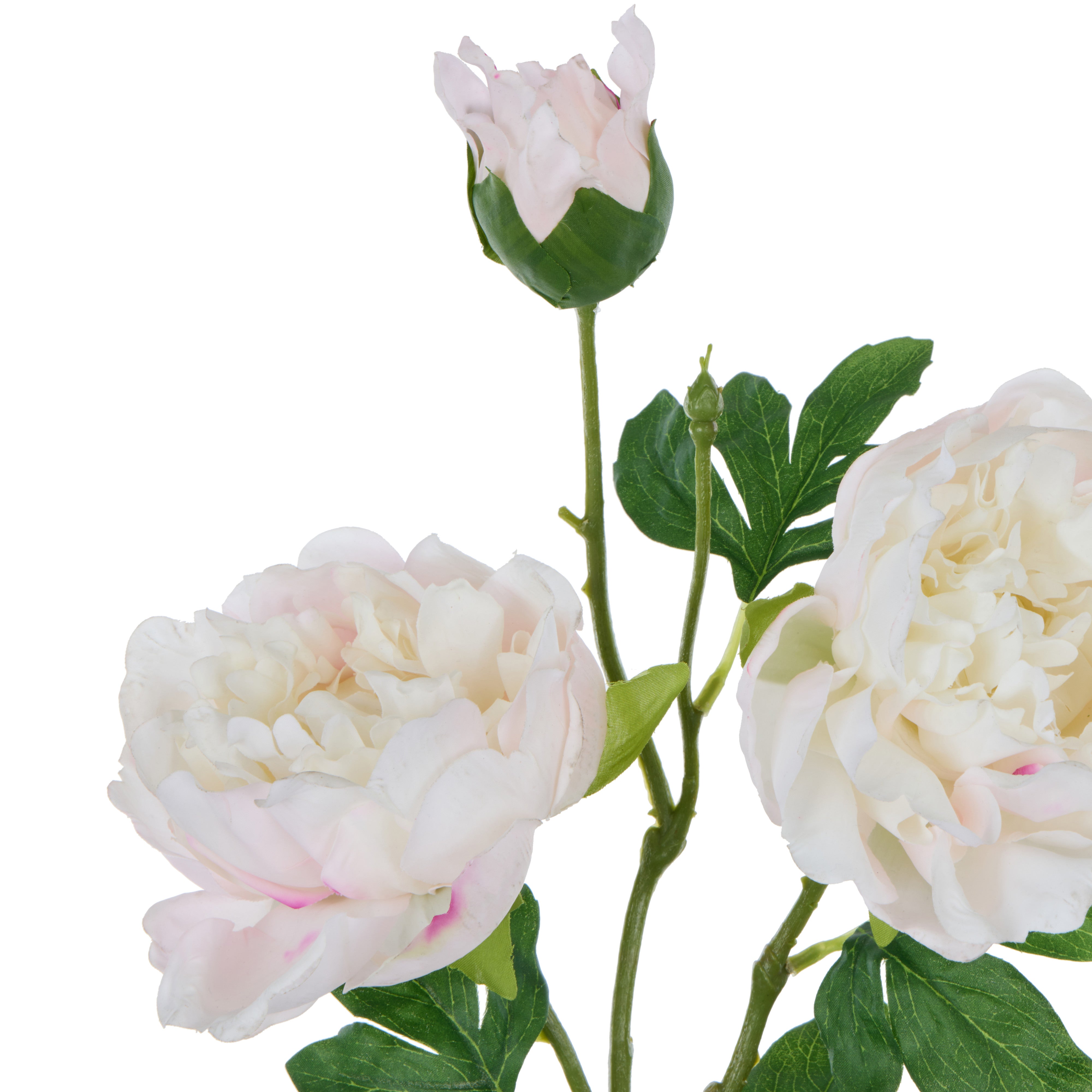 Rogue Peony Spray Real Touch White & Pink