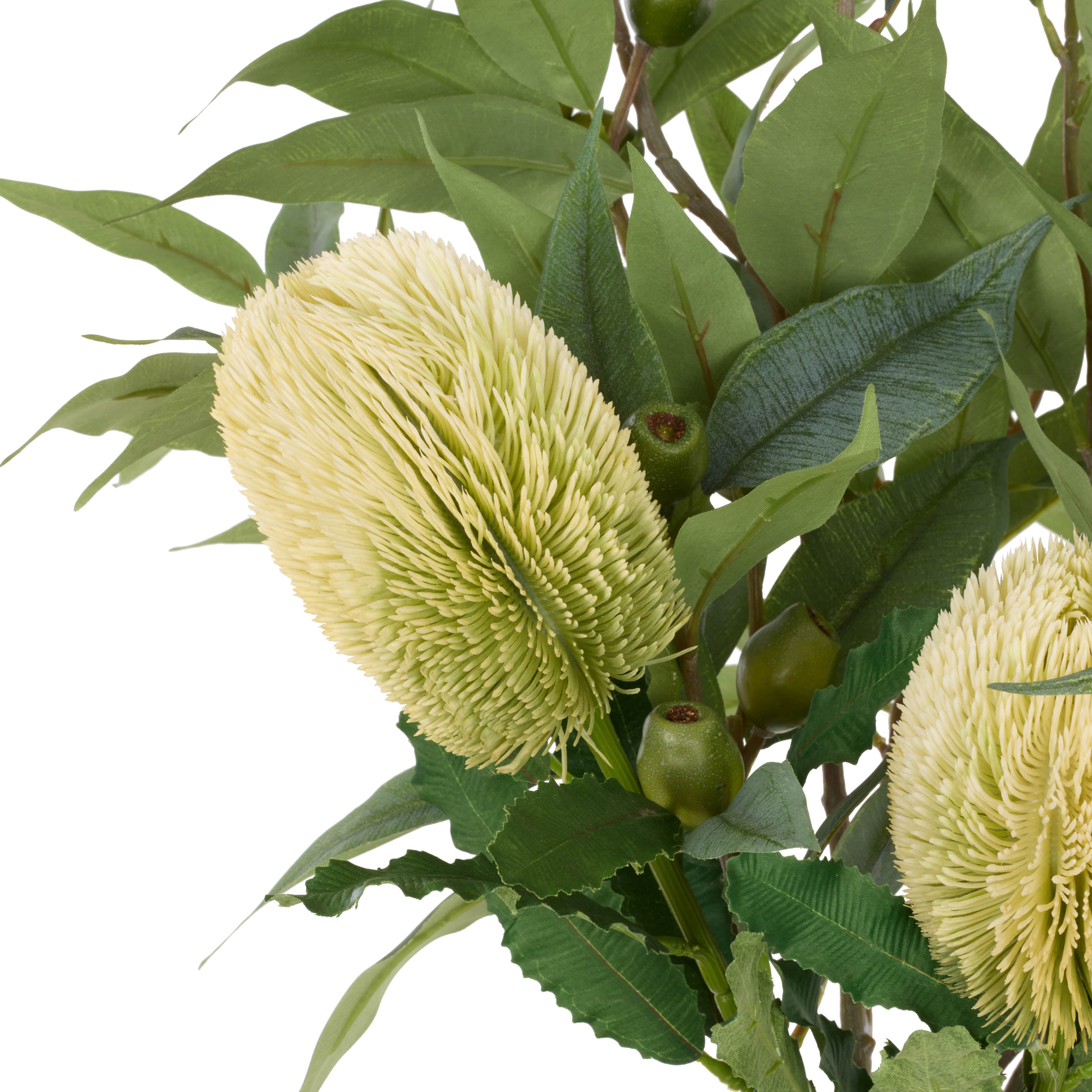 Rogue Native Banksia Gumnut Mix - Pauline Vase