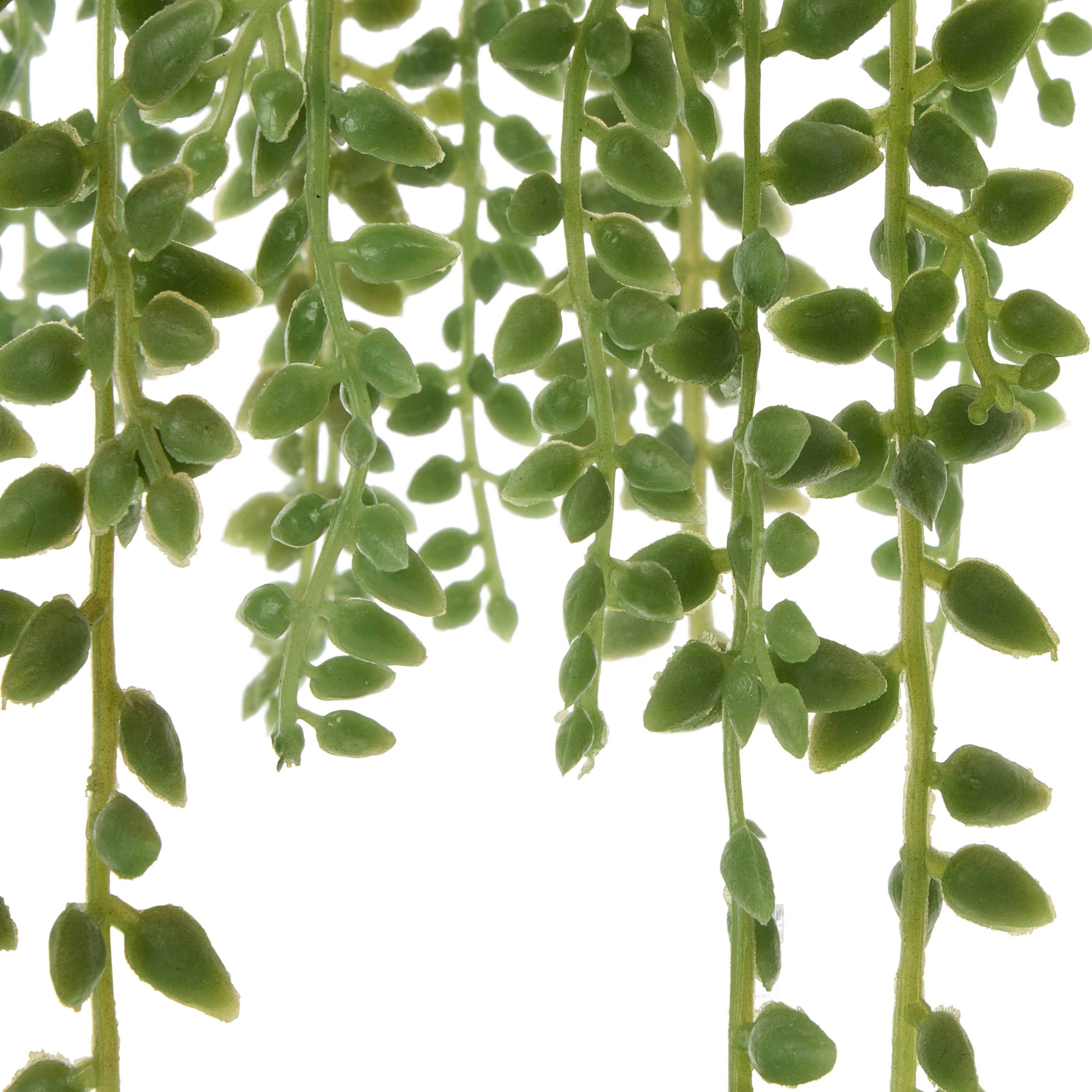 Rogue String of Teardrops - Garden Pot