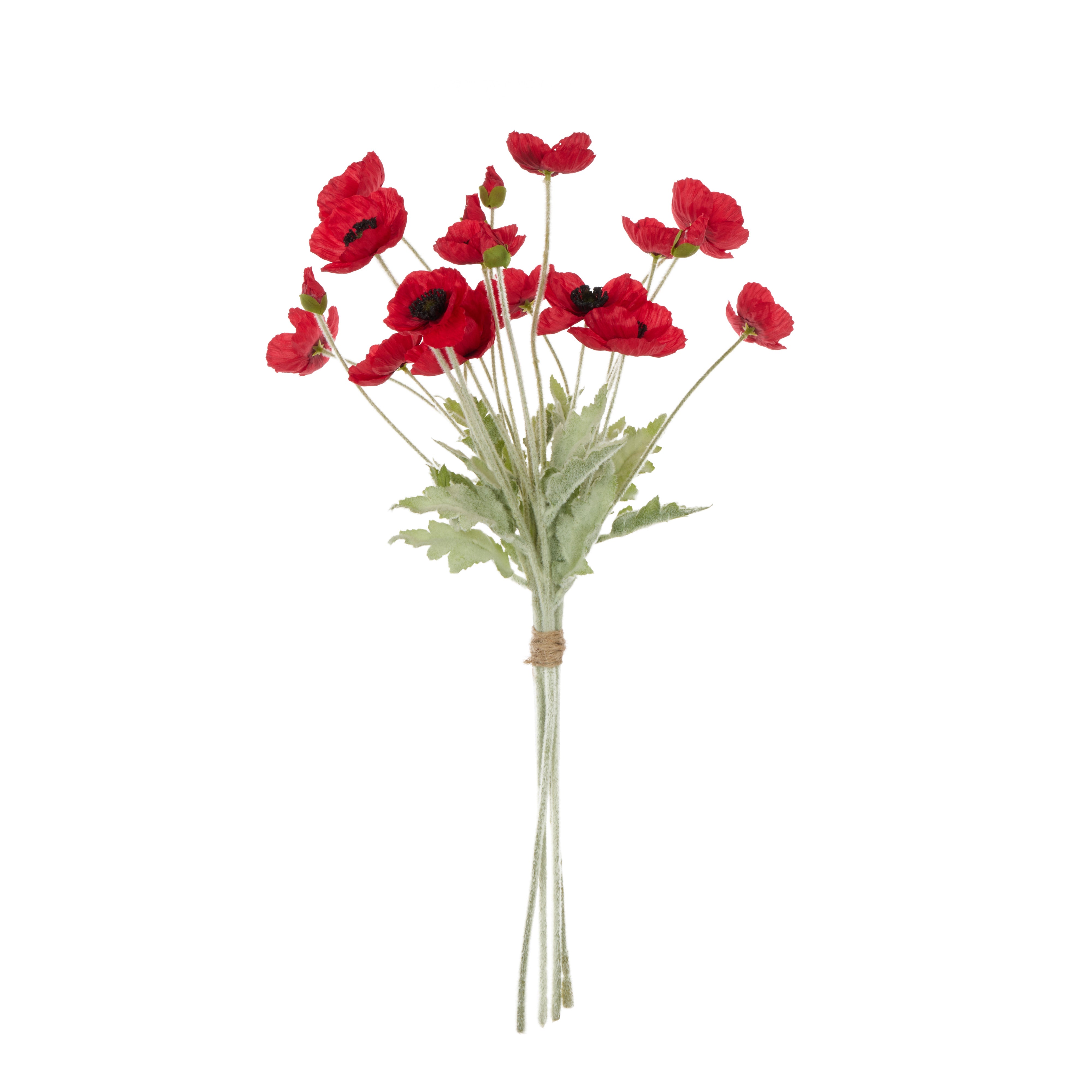 Rogue Poppy Bunch