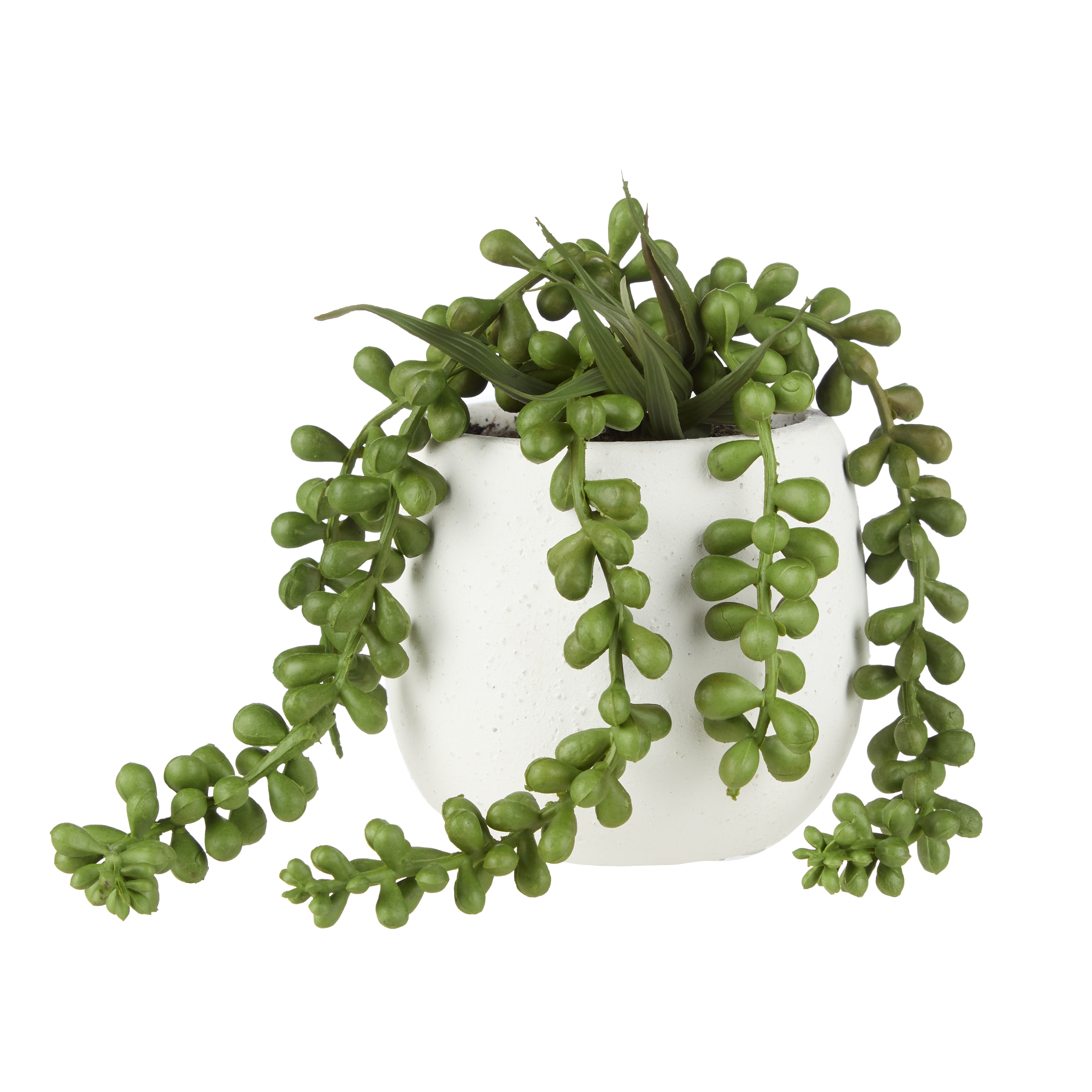 Rogue Hanging Pearls - Tub Pot Green & White 22cm