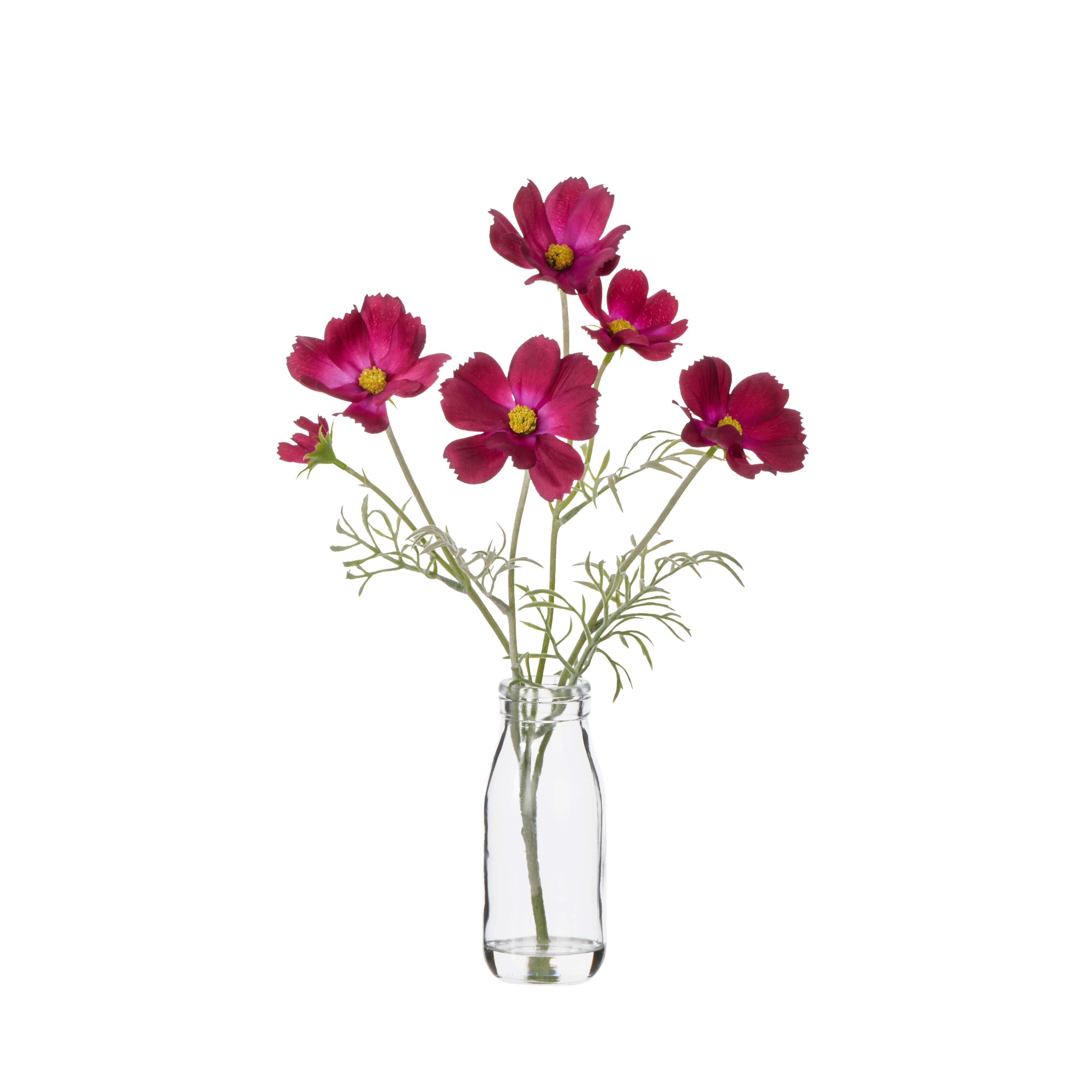 Rogue Cosmos in Milk Bottle Burgundy