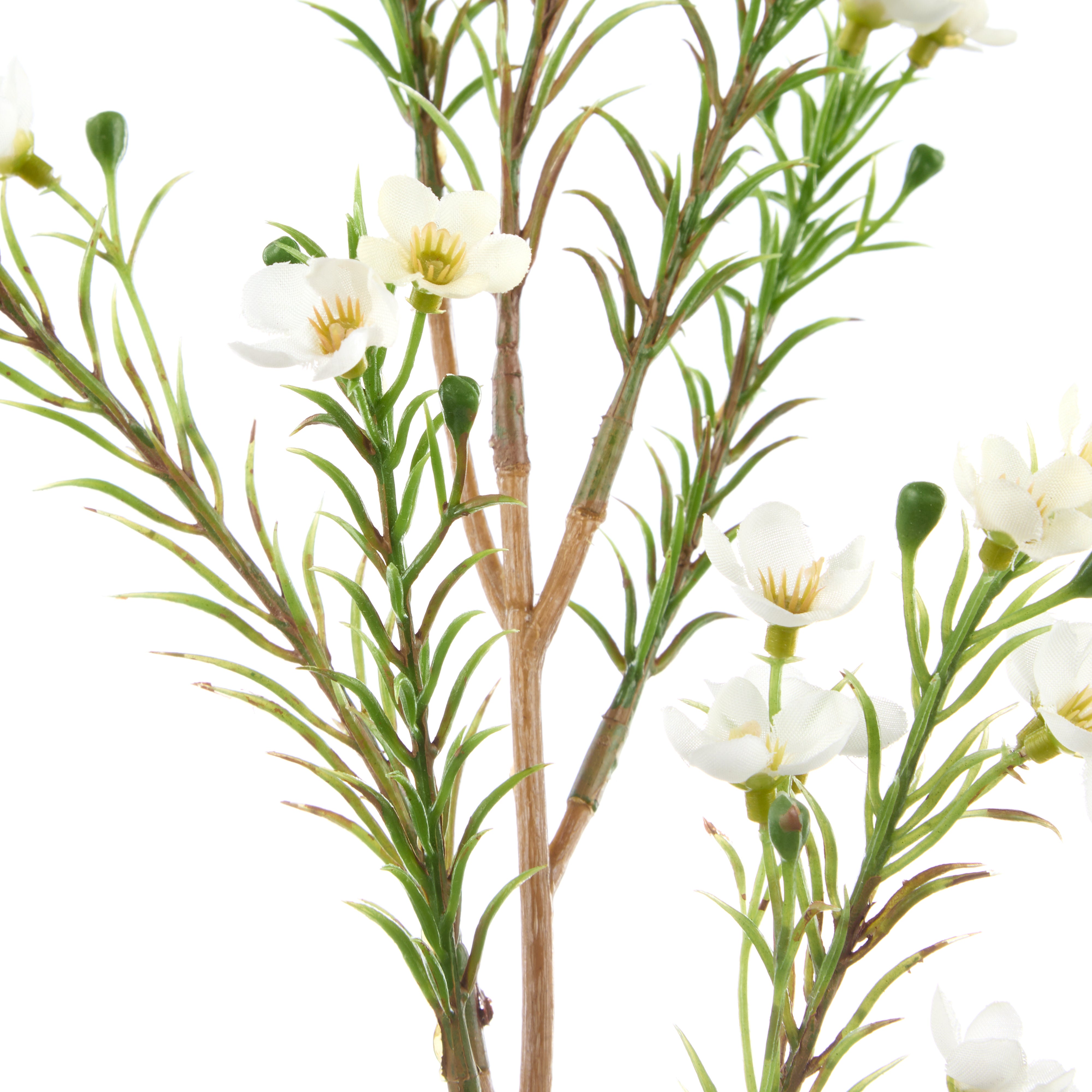 Rogue Wax Flower Spray White