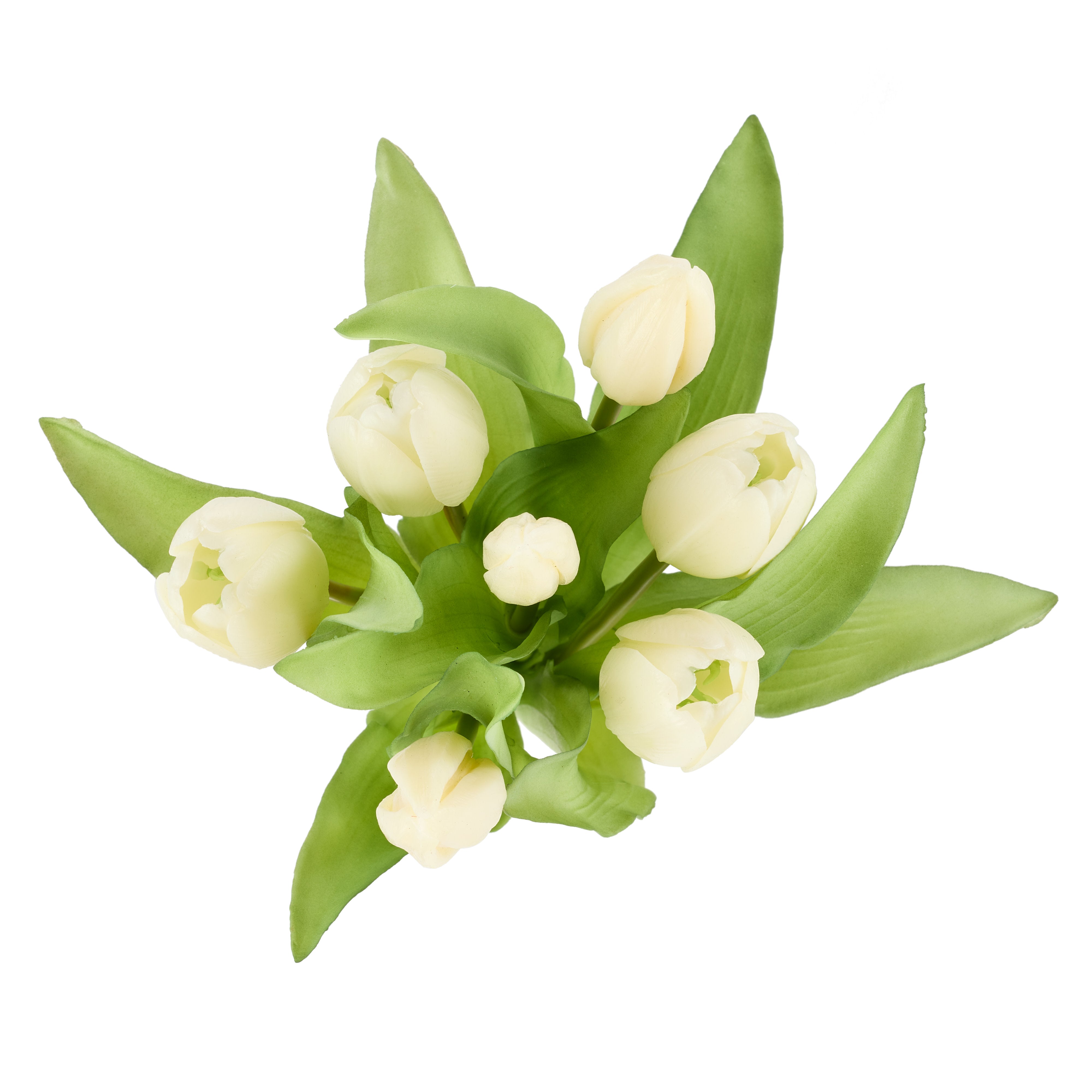 Rogue Tulip Bunch White 30cm