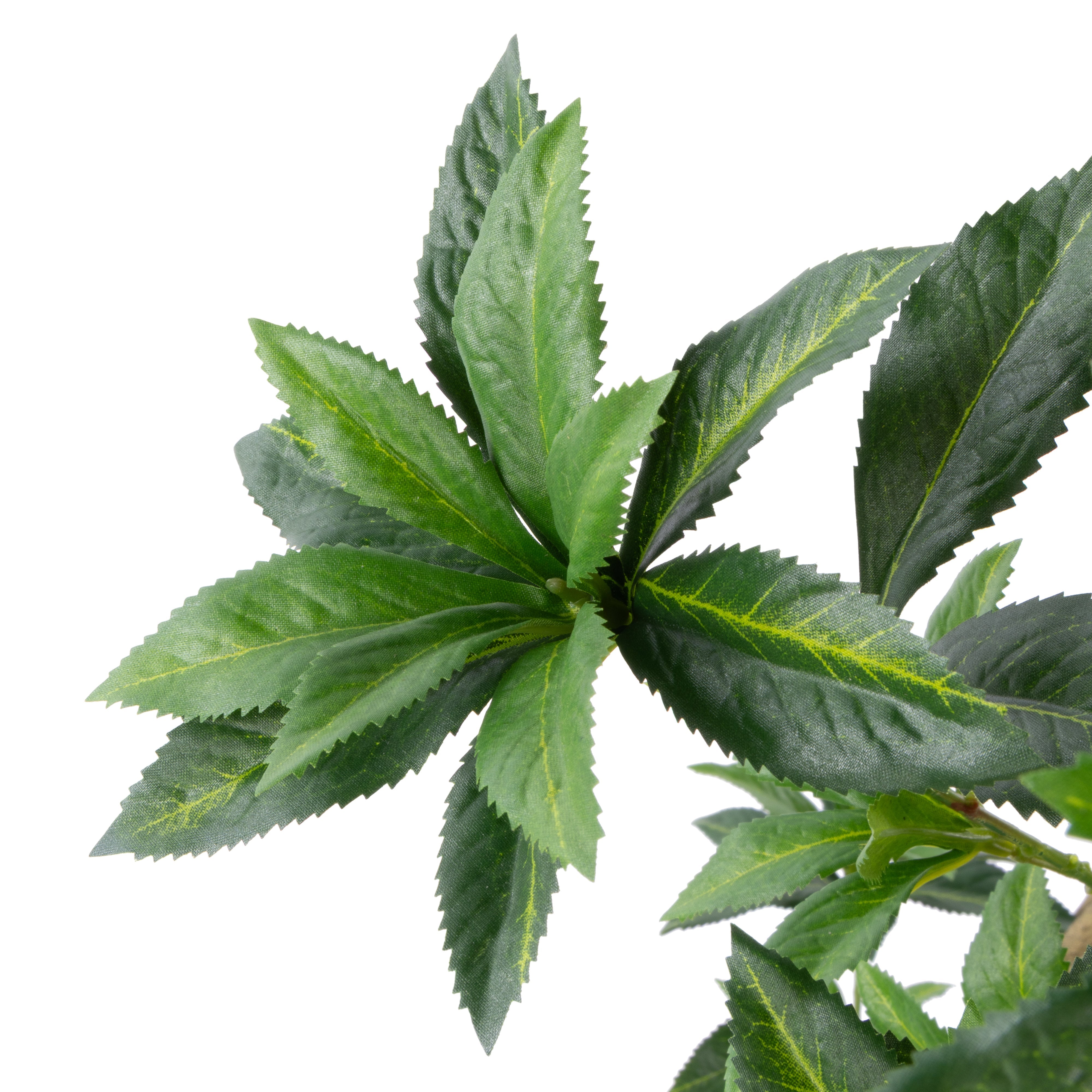 Rogue Japonica Tree UV - Garden Pot 120cm