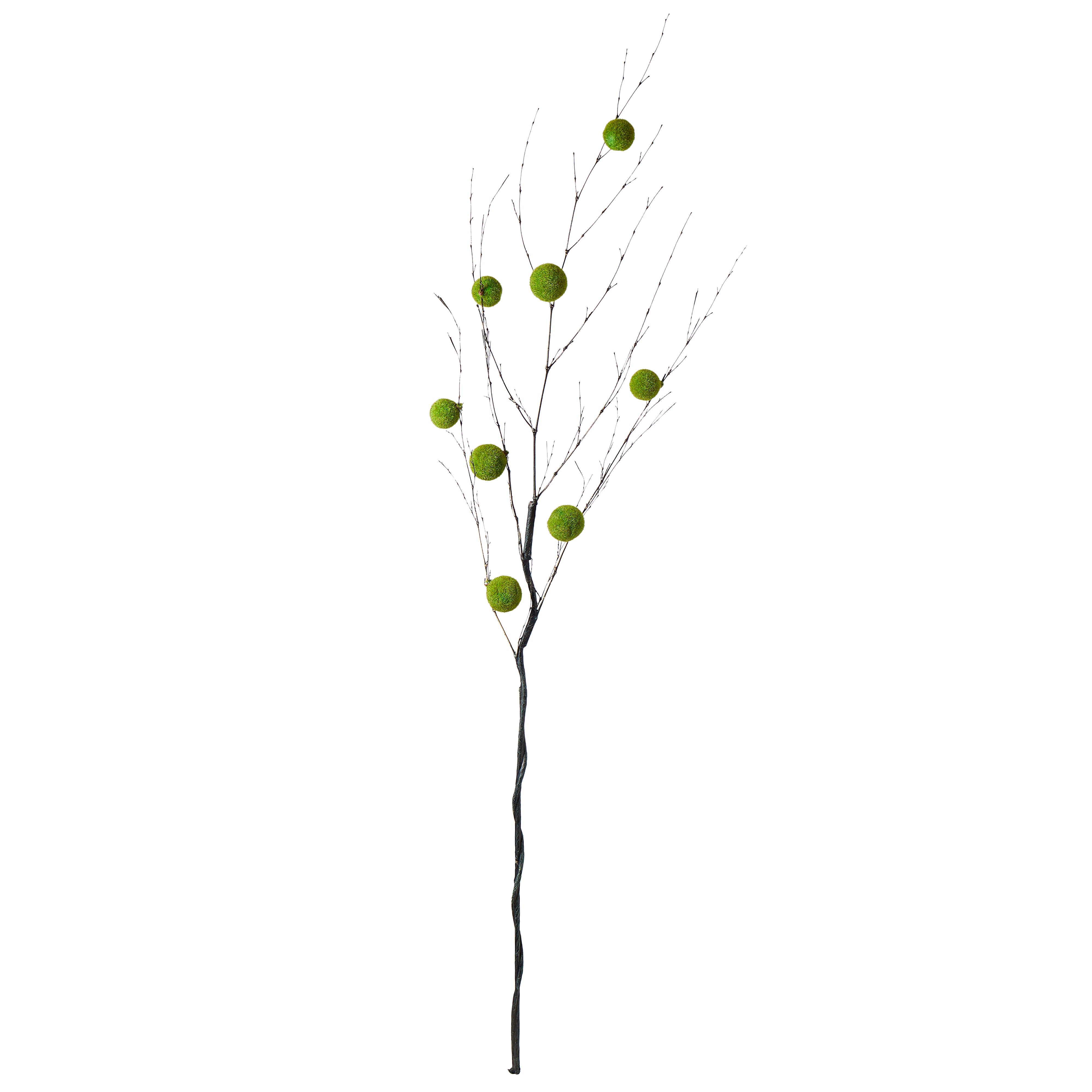 Rogue Moss Ball Branch