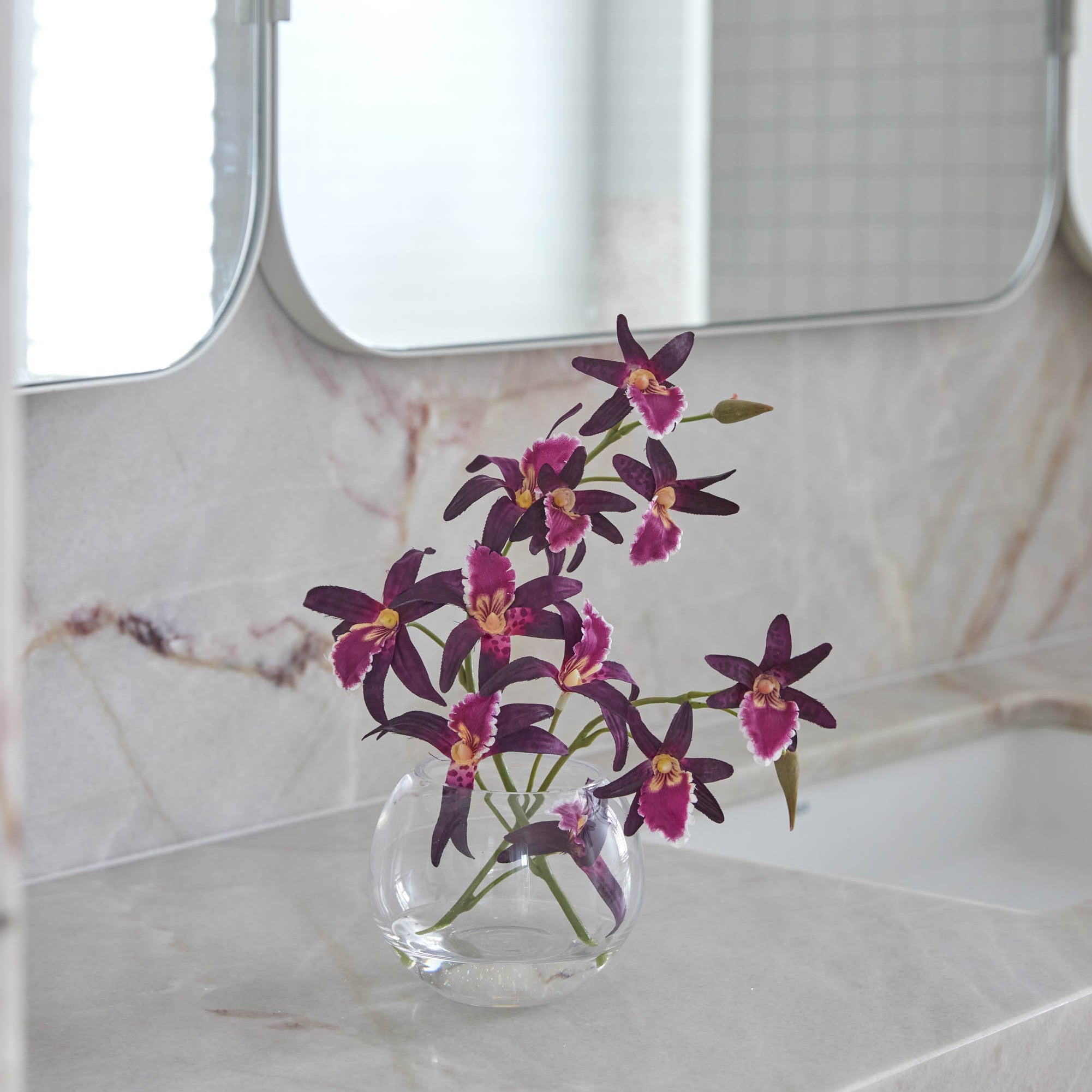 Rogue Dendrobium - Sphere Burgundy