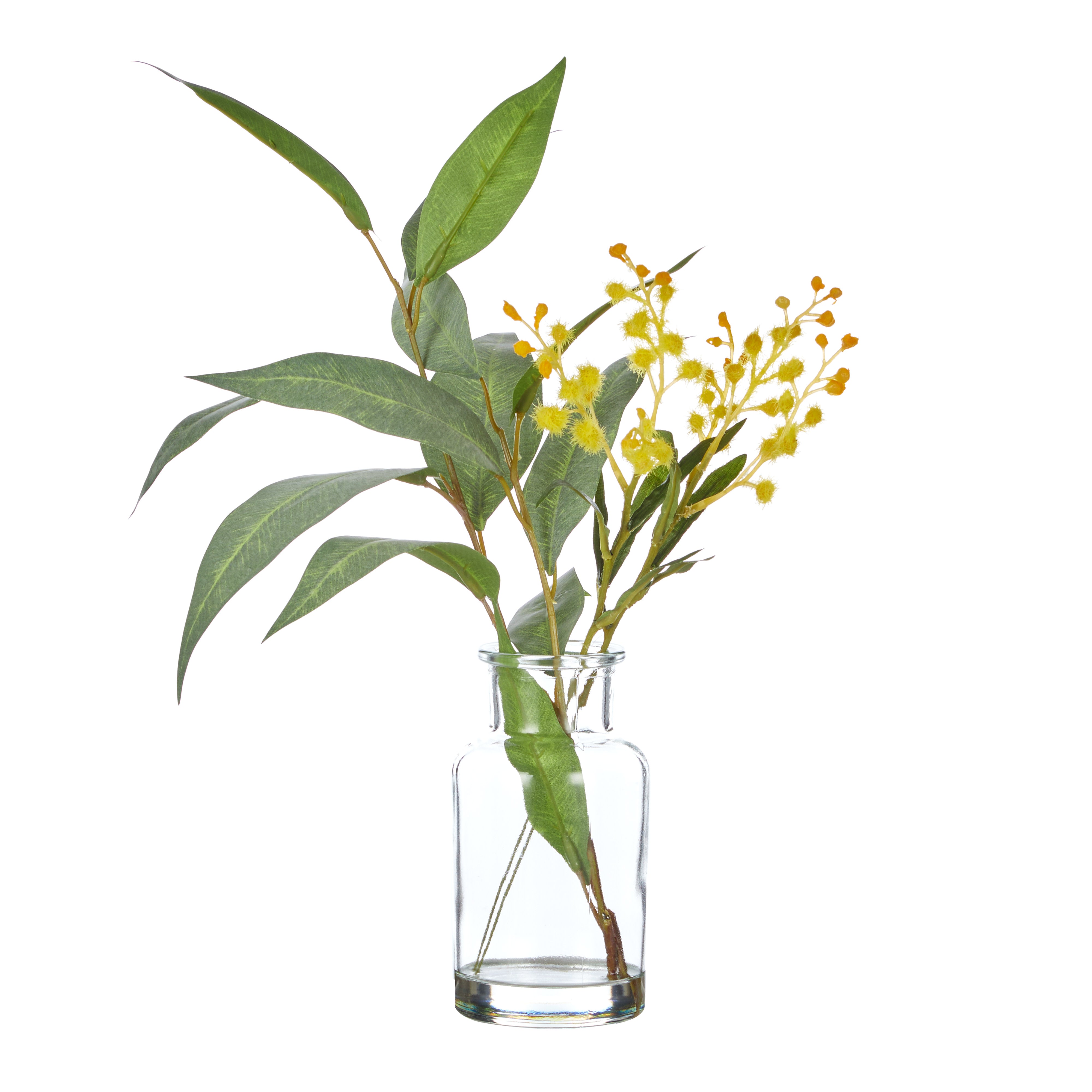 Rogue Eucalyptus Wattle Mix - Specimen Bottle 6pcs/2 Assorted Green & Glass
