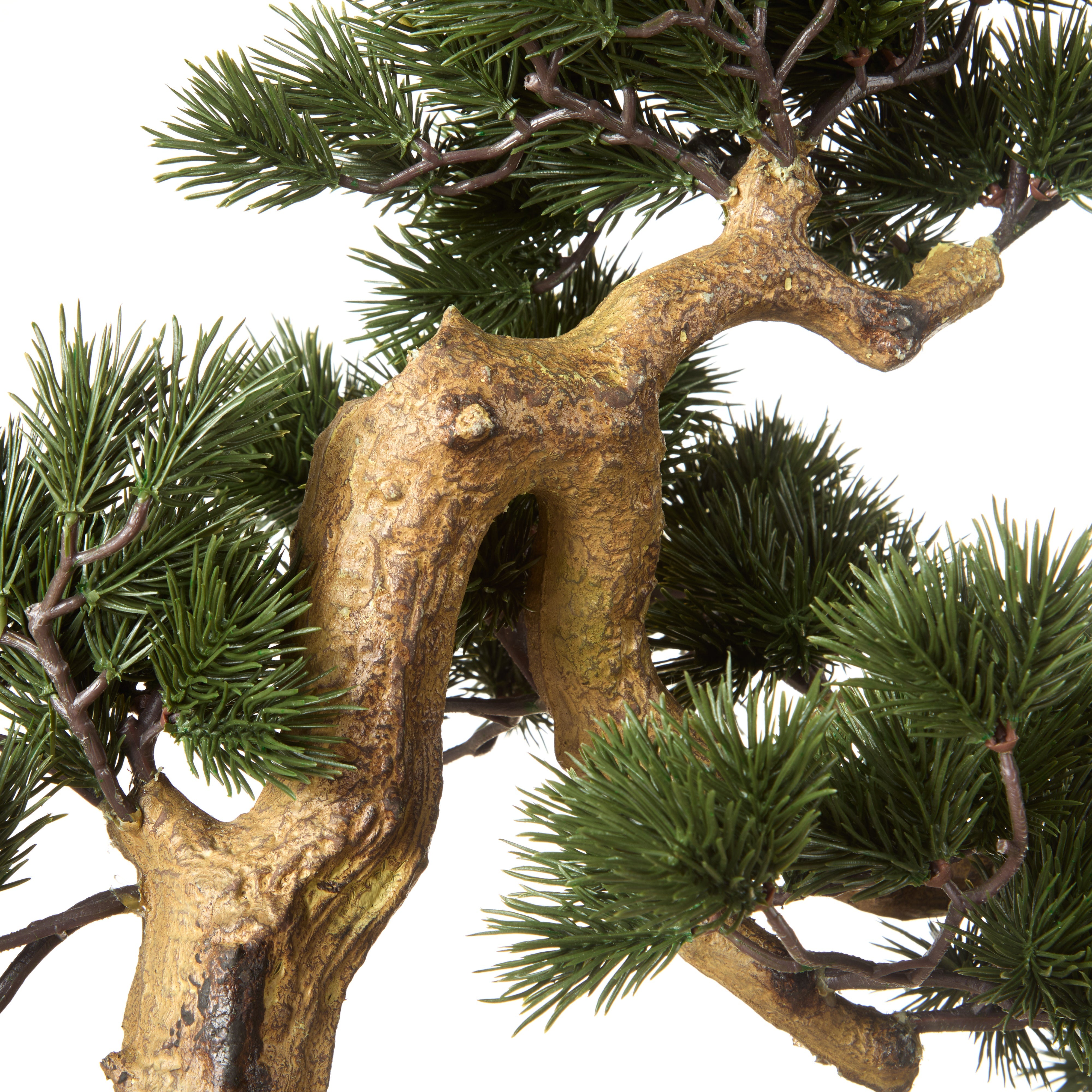 Rogue Pine Bonsai - Garden Pot 55cm